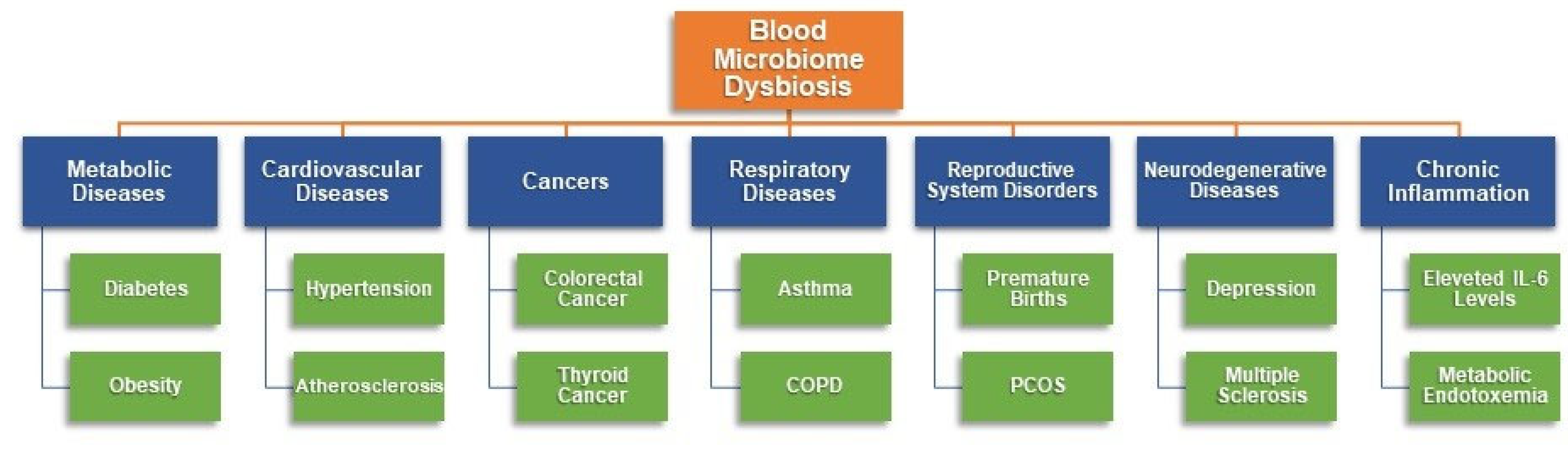 Preprints 156069 g001