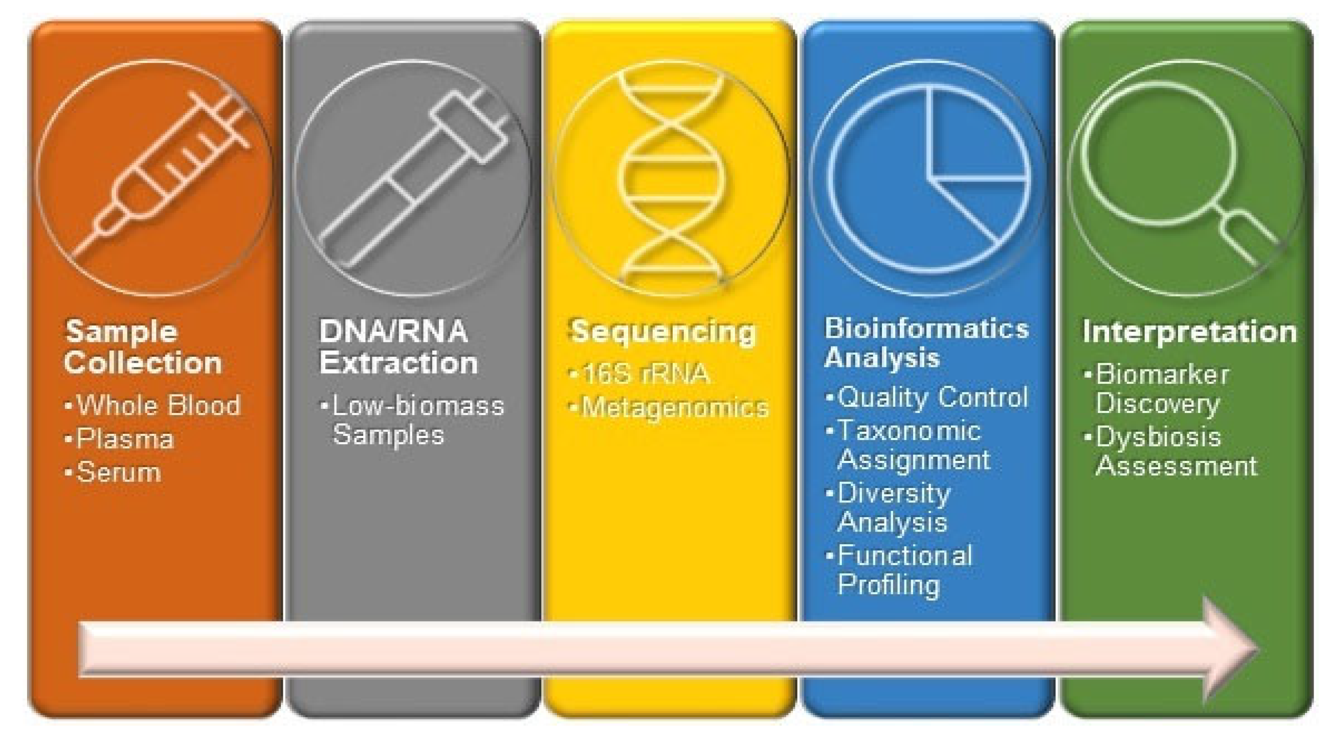 Preprints 156069 g002