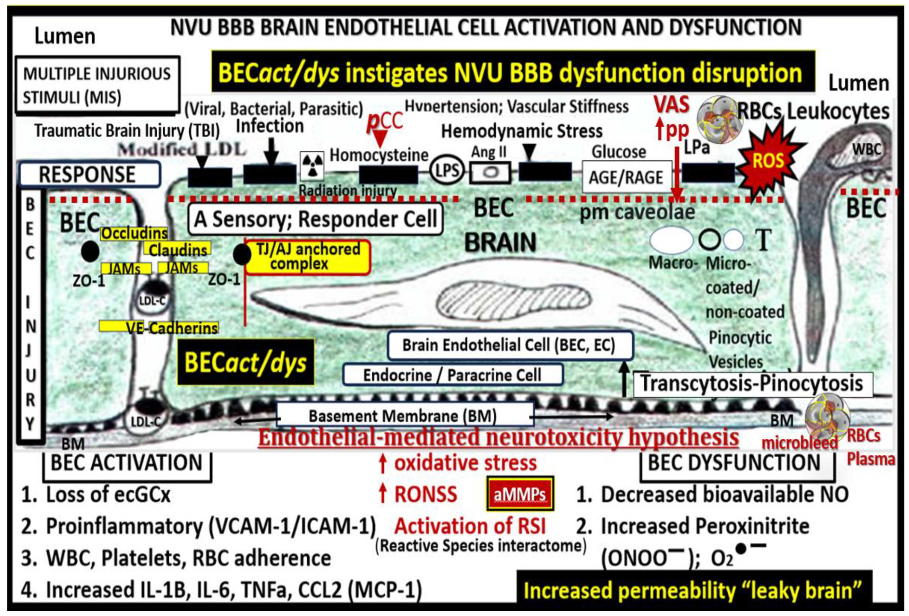 Preprints 145907 g001