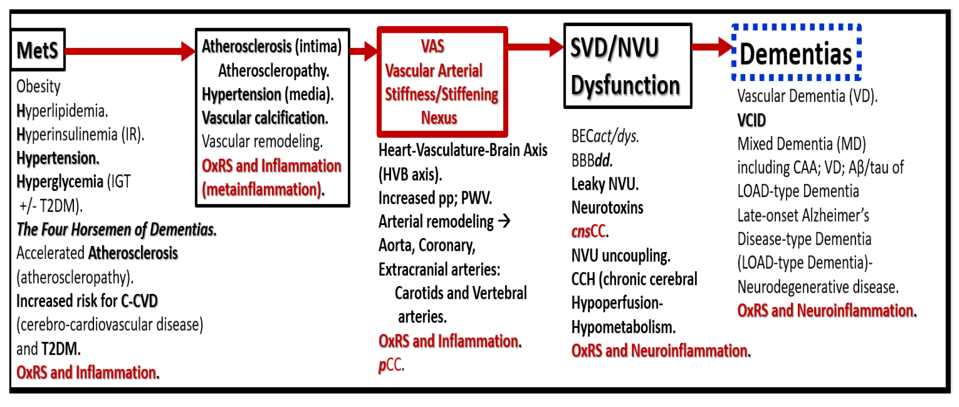 Preprints 145907 g005