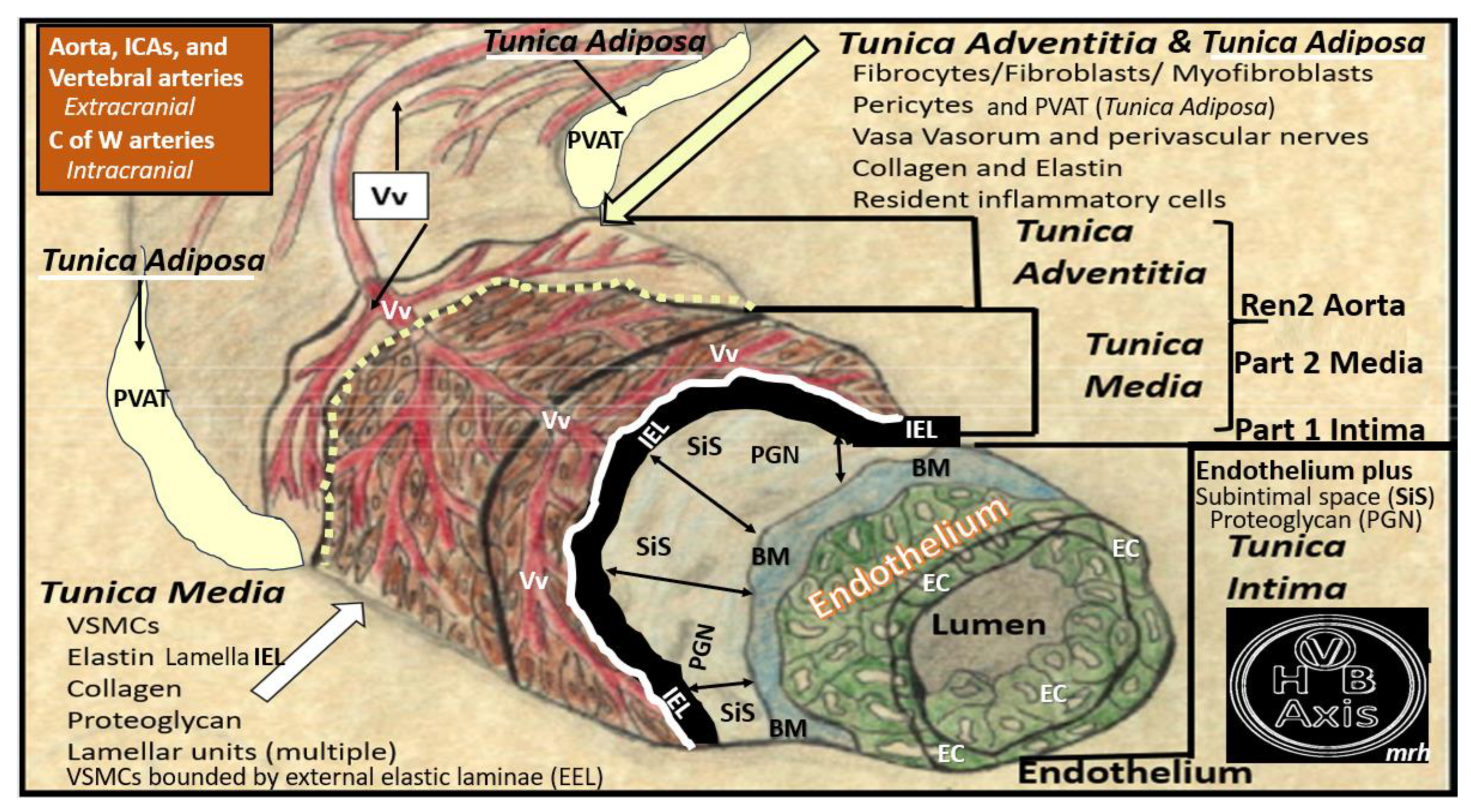 Preprints 145907 g006
