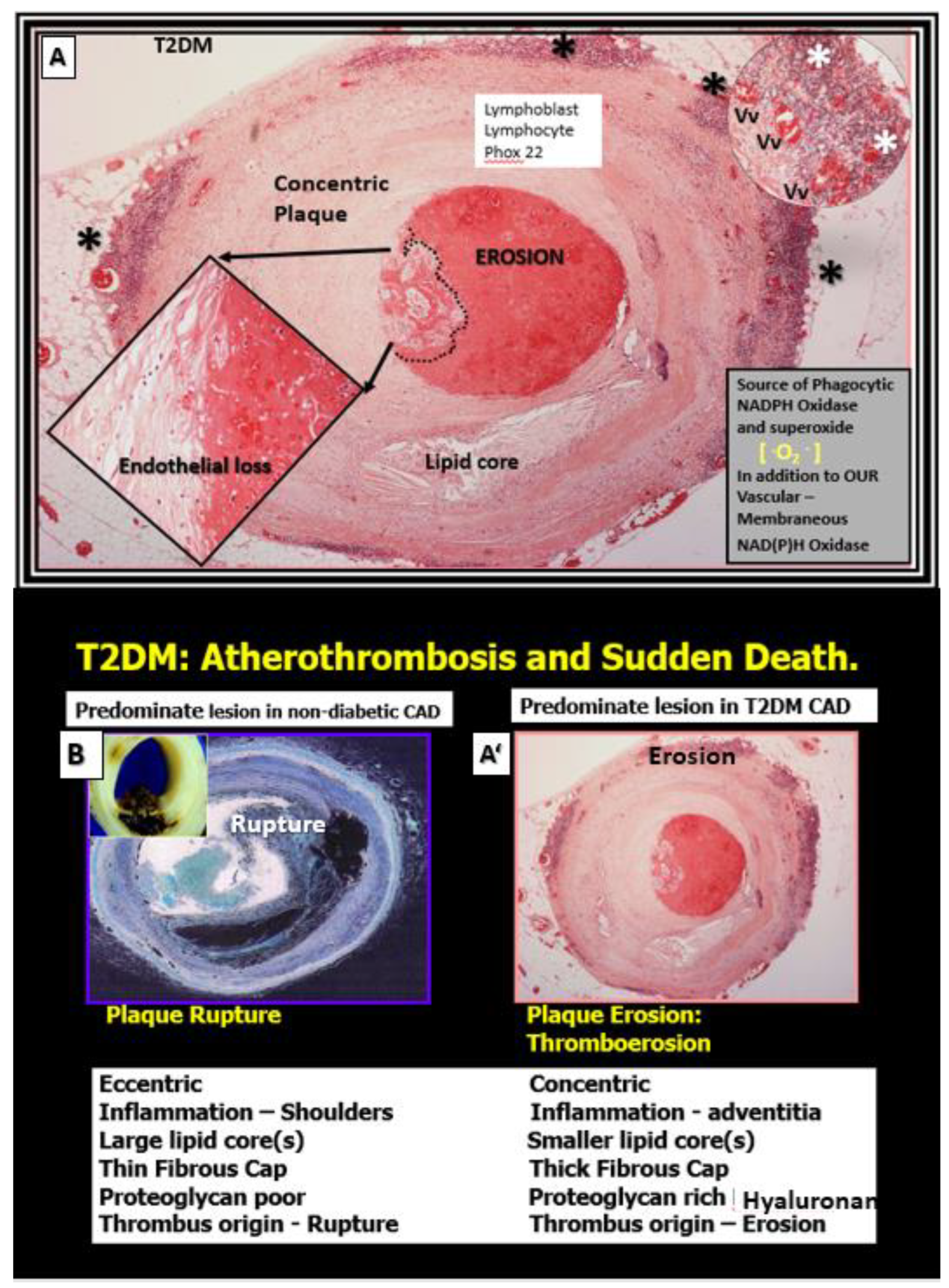 Preprints 145907 g007