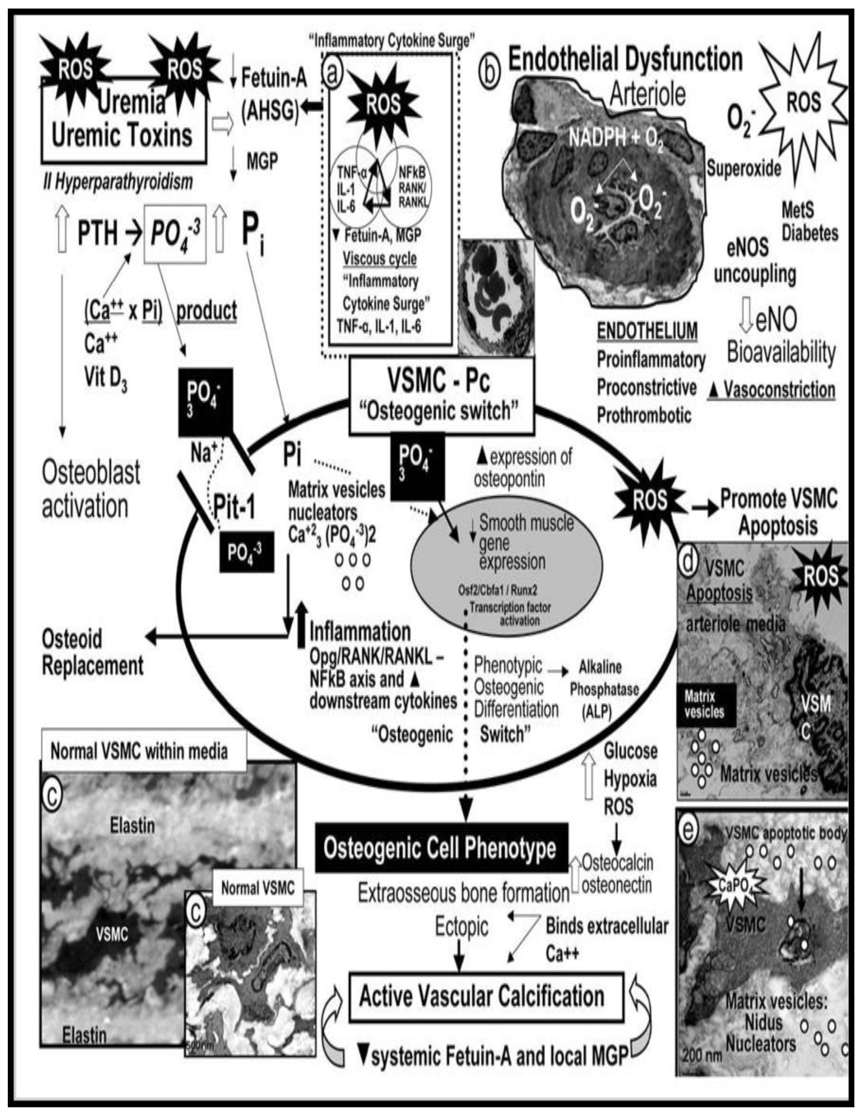 Preprints 145907 g008