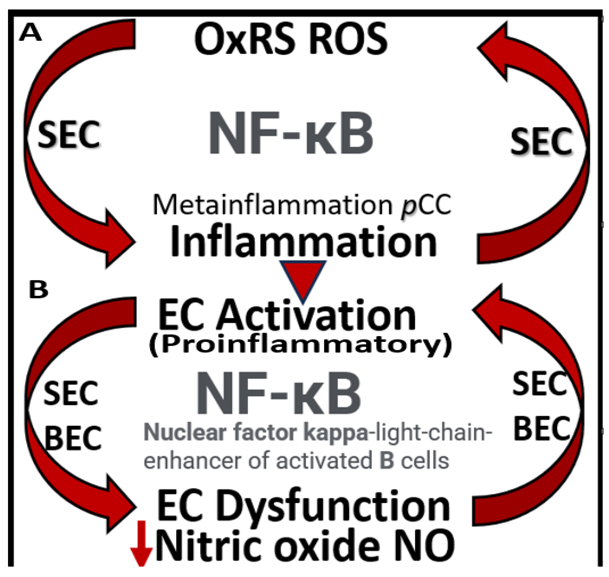 Preprints 145907 g009