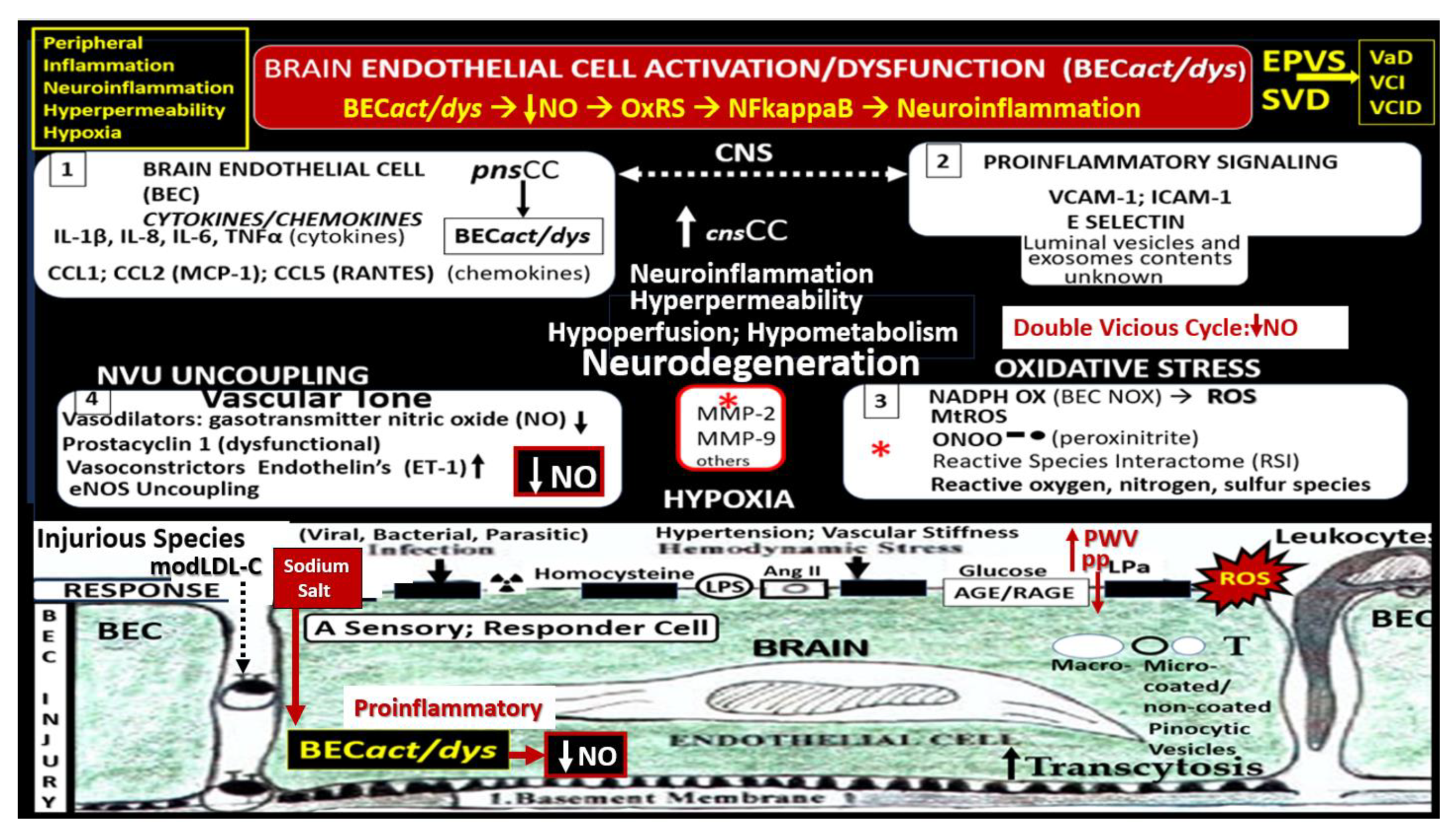 Preprints 145907 g010