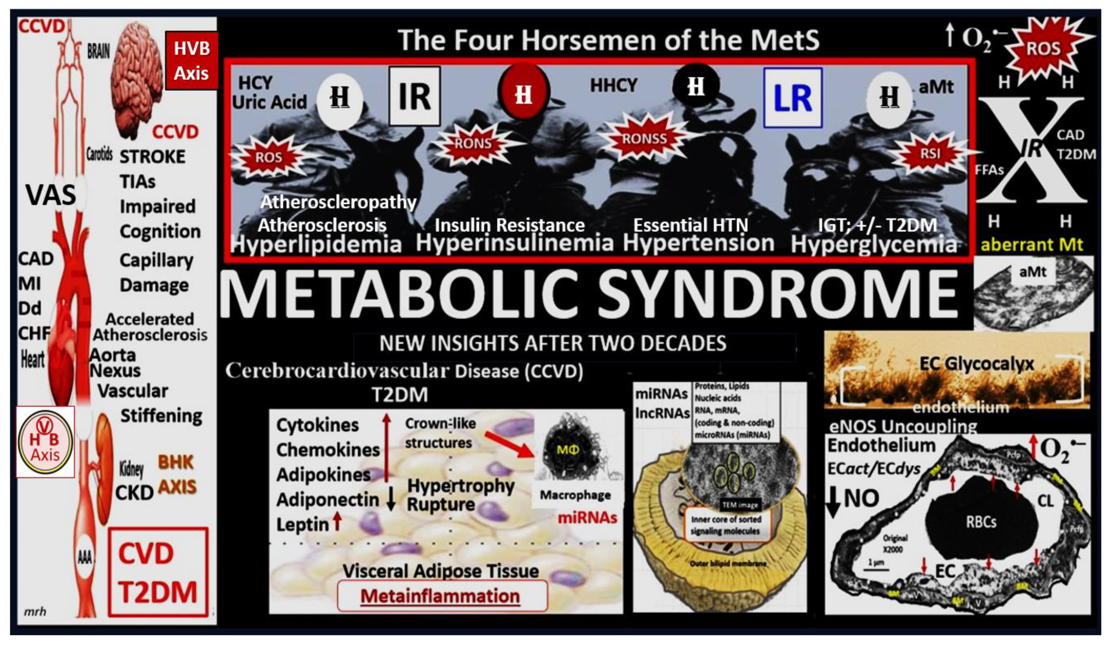 Preprints 145907 g012