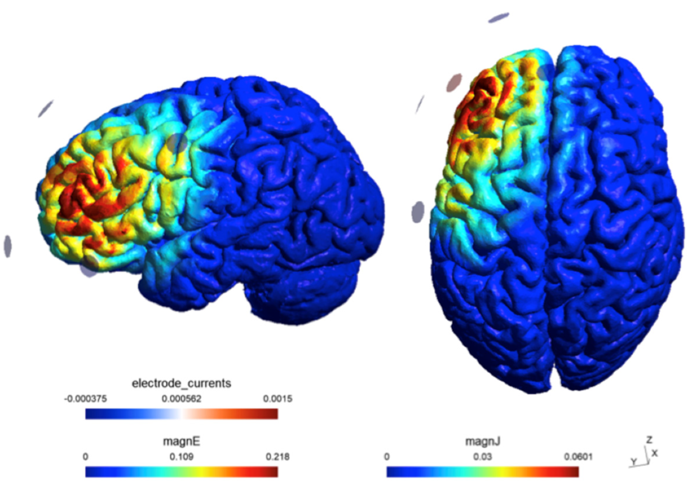 Preprints 149966 g002