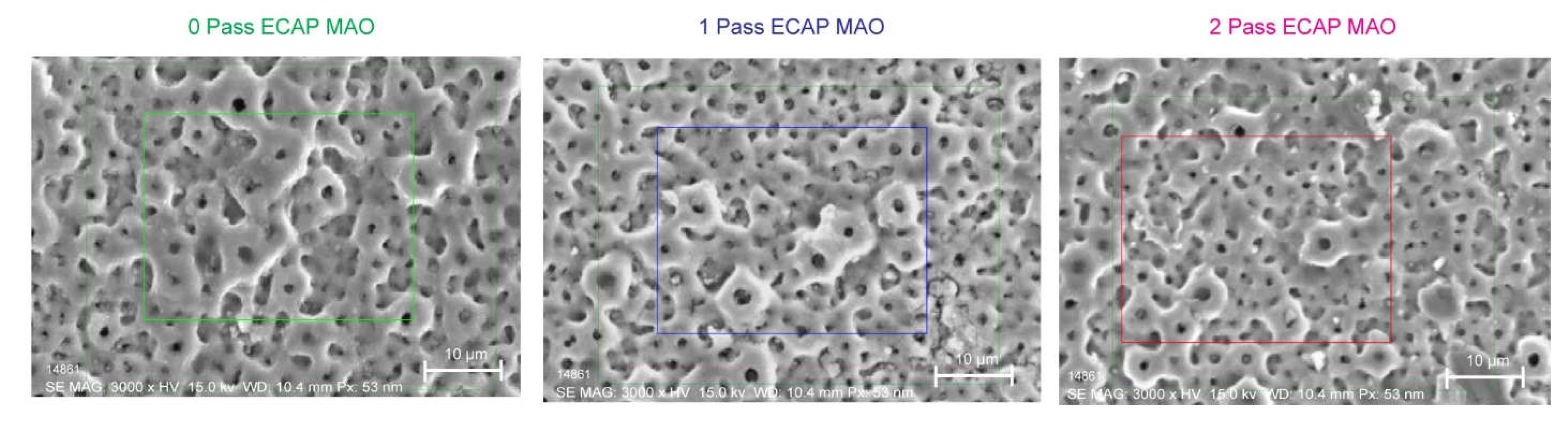 Preprints 75383 g006