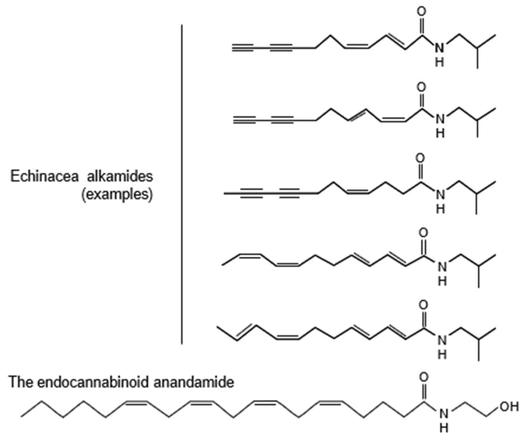 Preprints 146067 g001