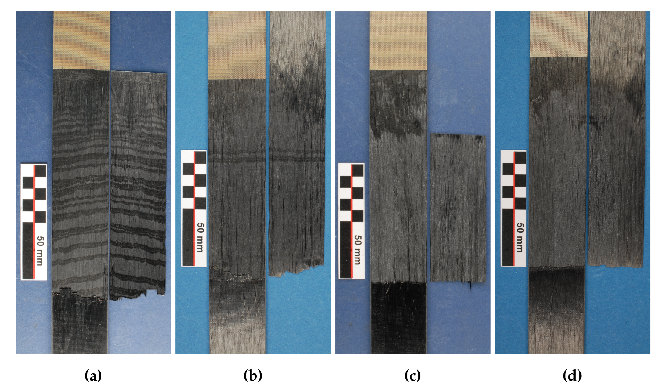 Preprints 99725 g011