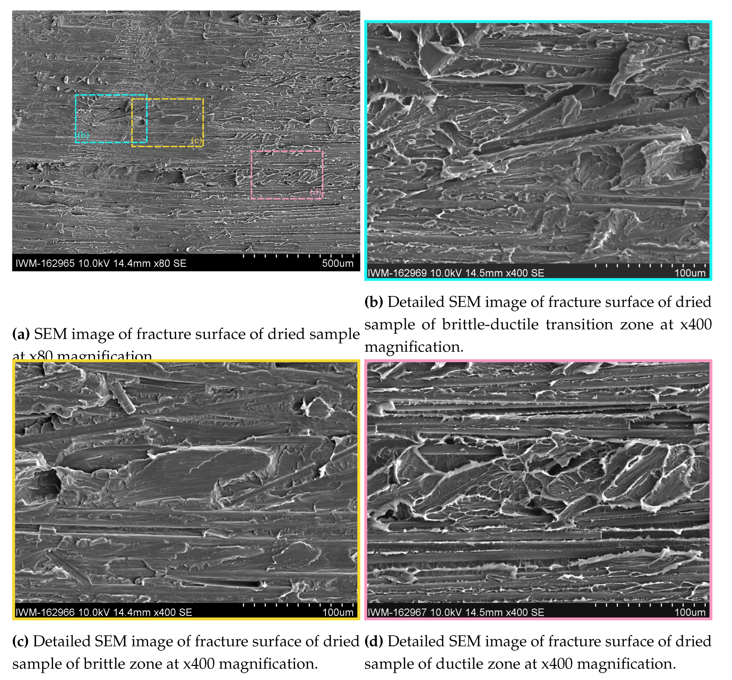Preprints 99725 g012