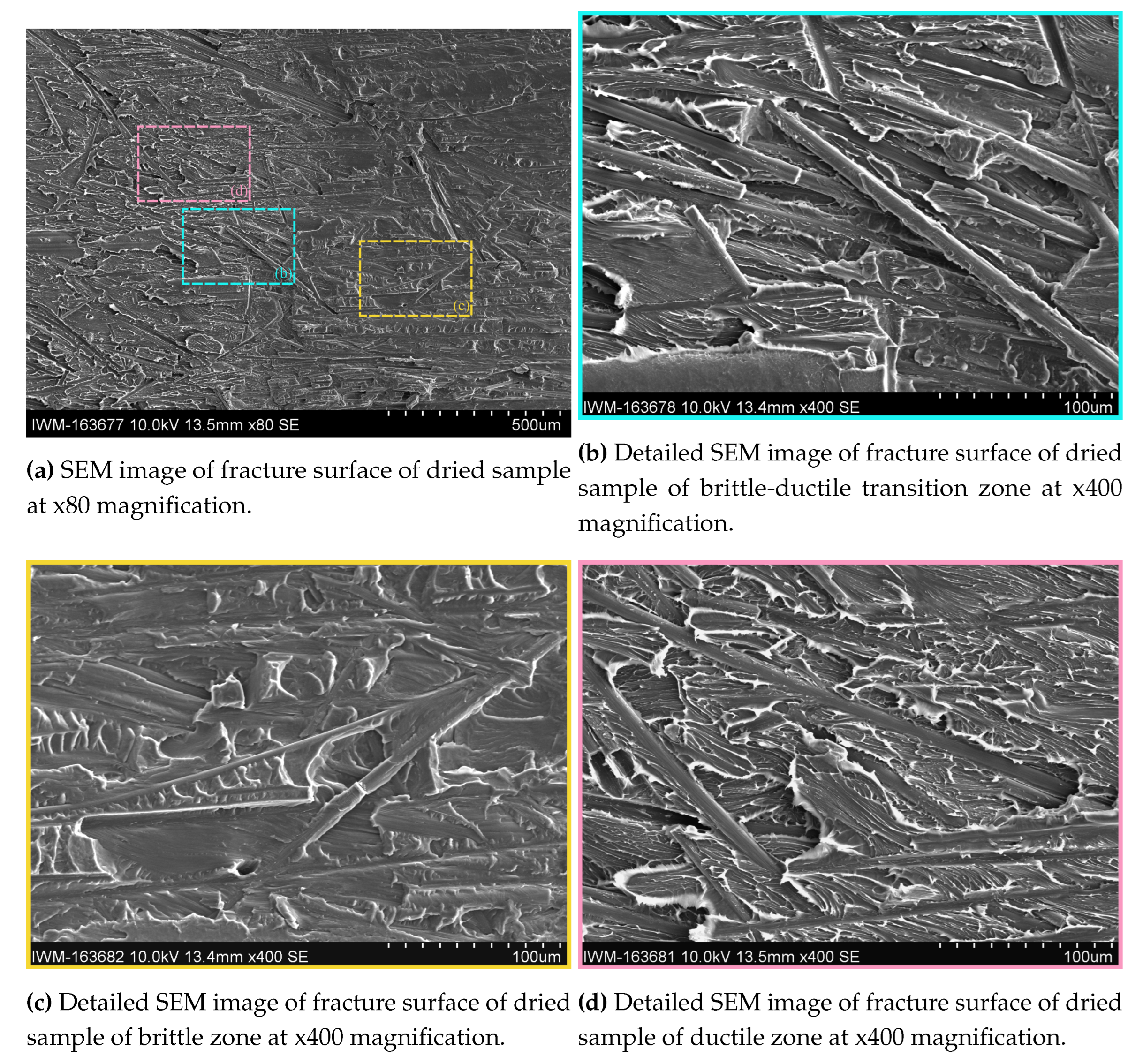 Preprints 99725 g013