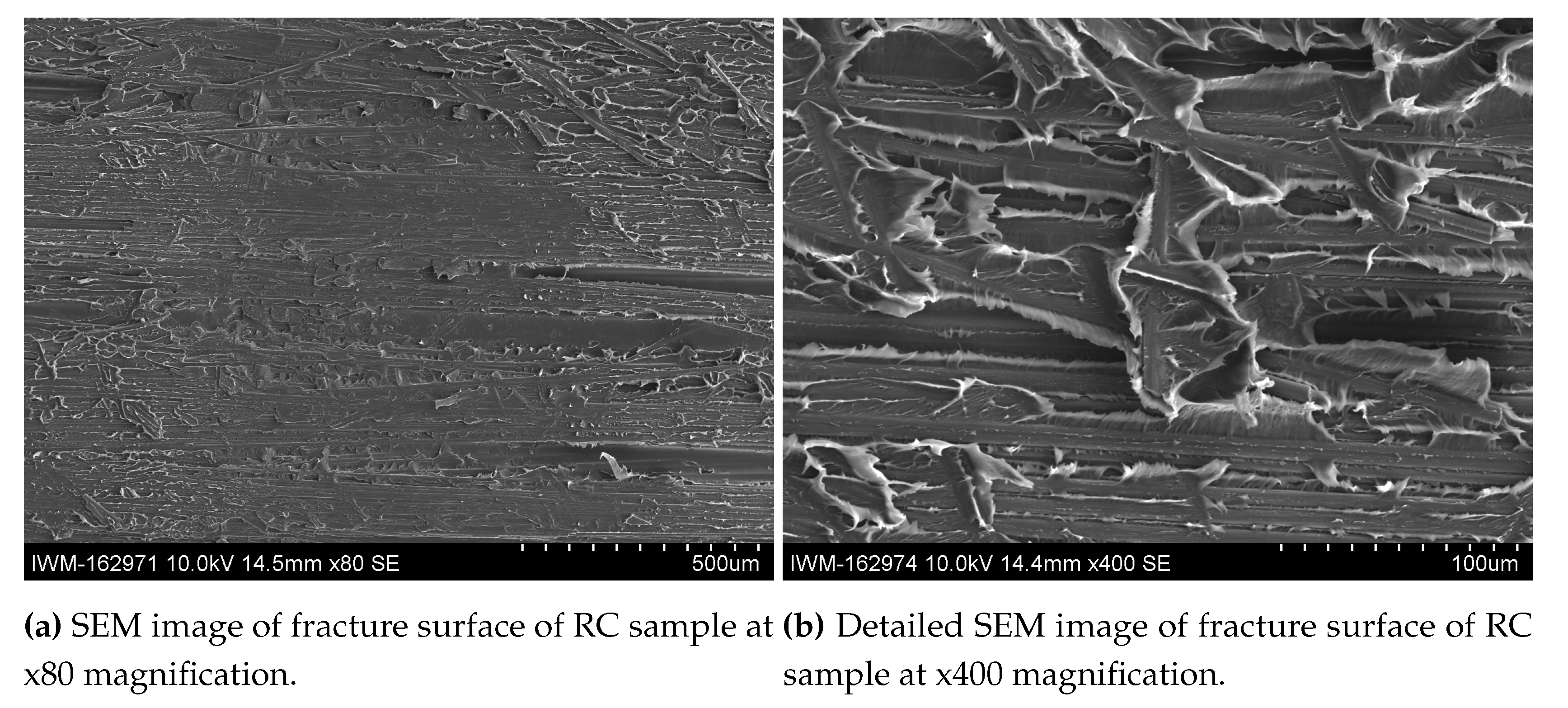 Preprints 99725 g014