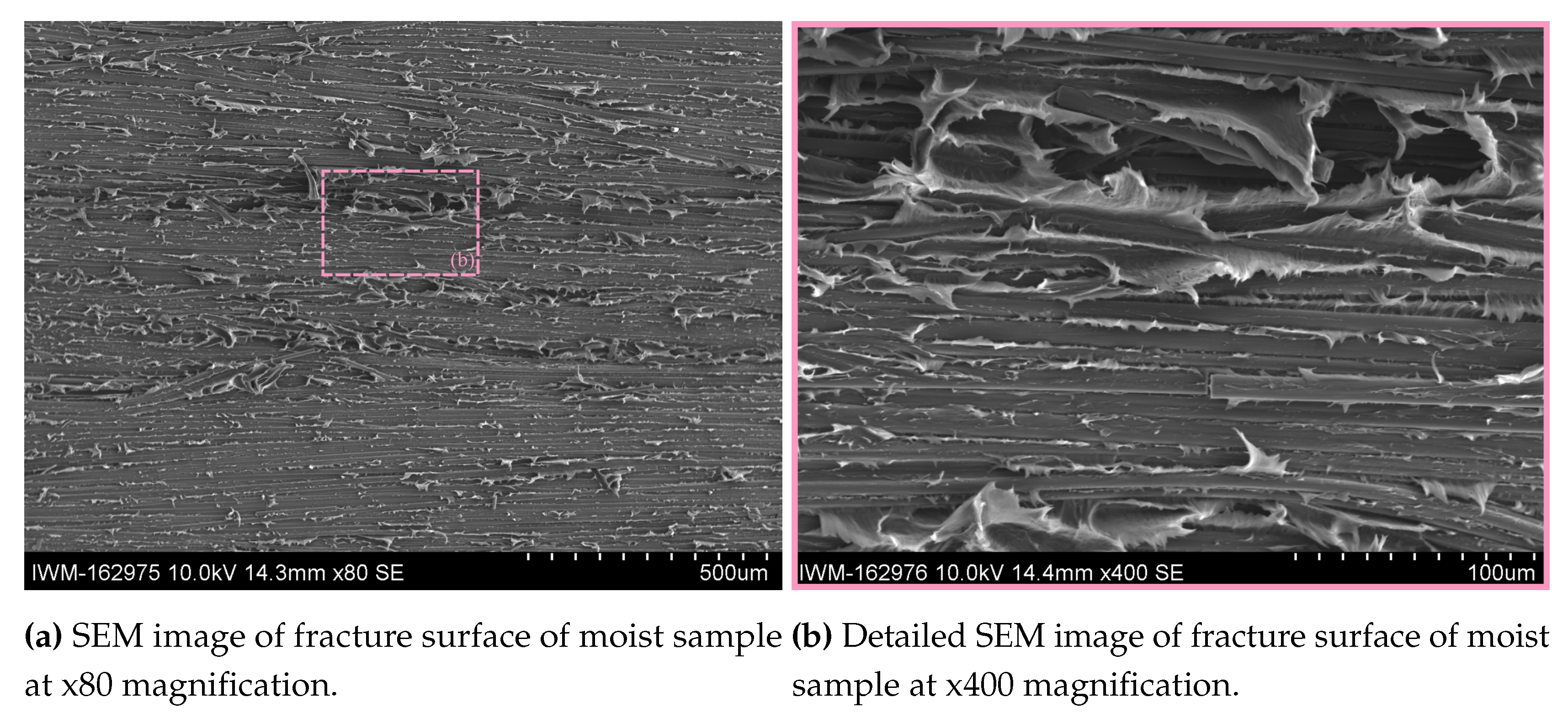 Preprints 99725 g015