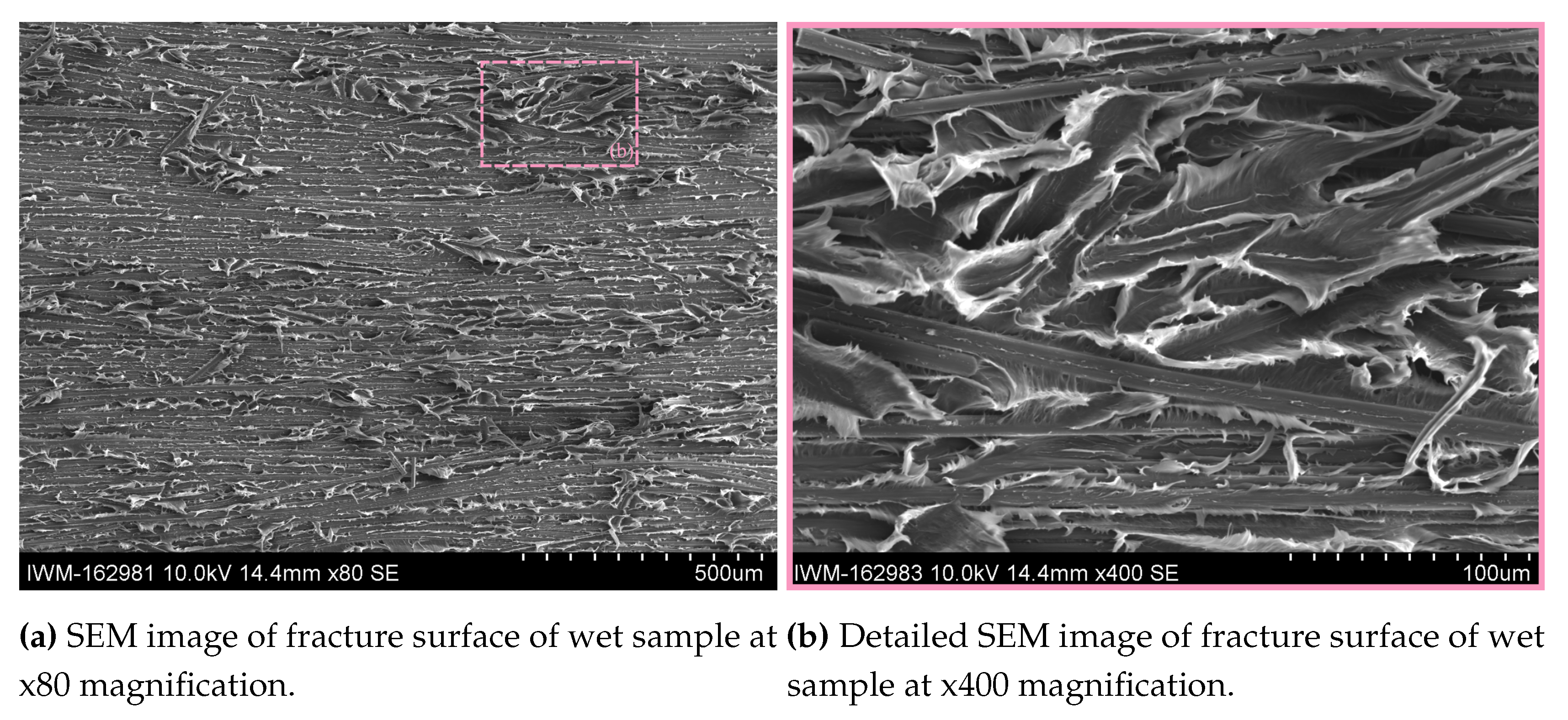 Preprints 99725 g016