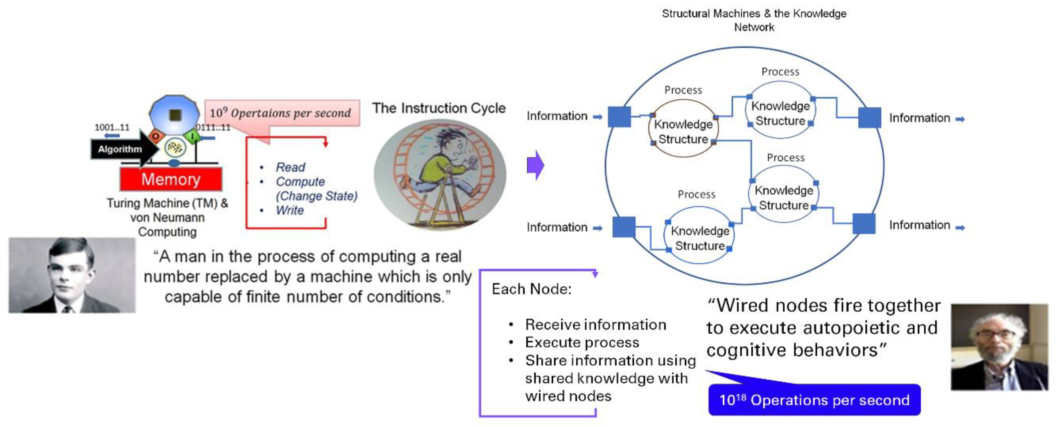 Preprints 110055 g004