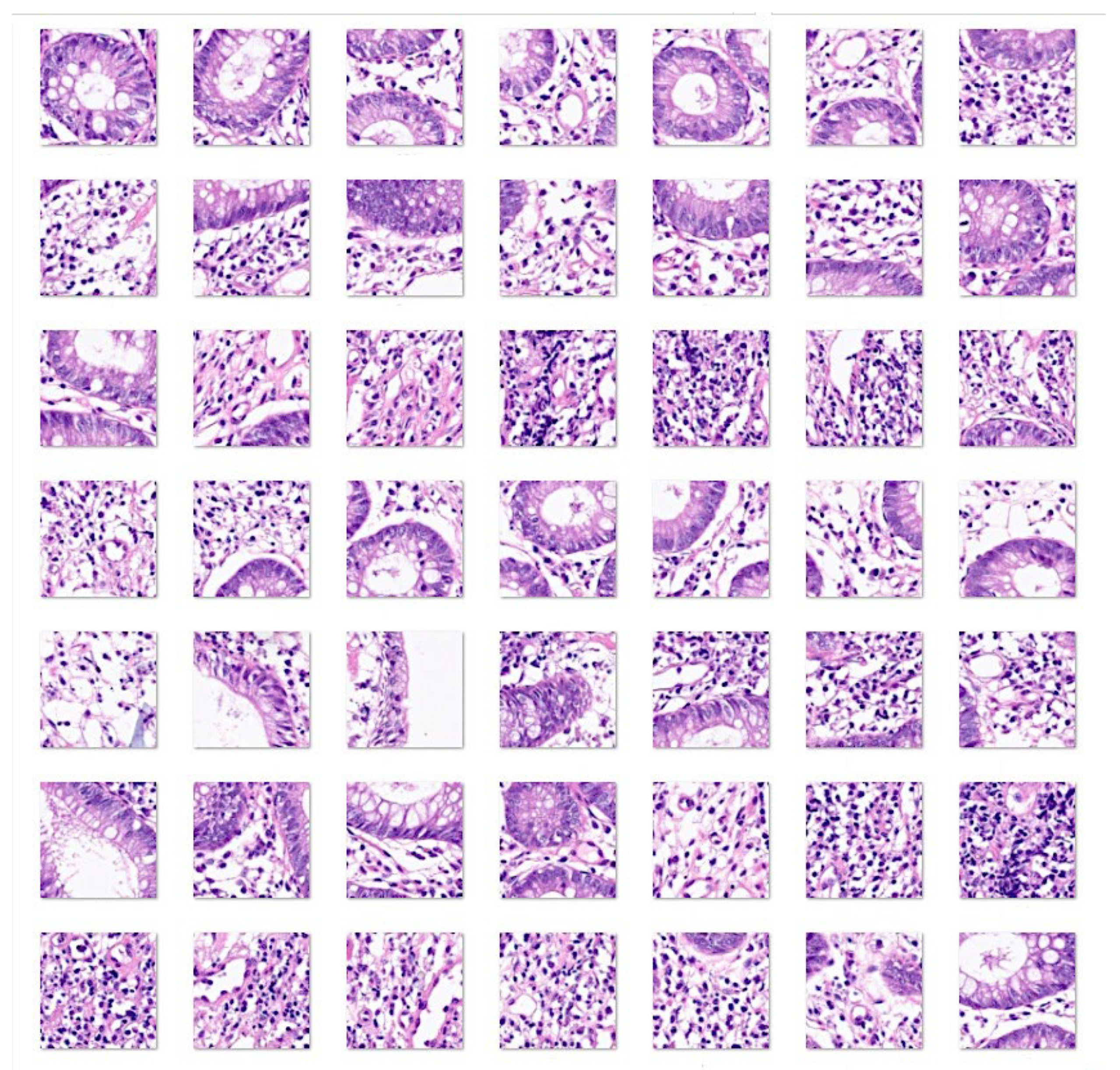 Preprints 138358 g002