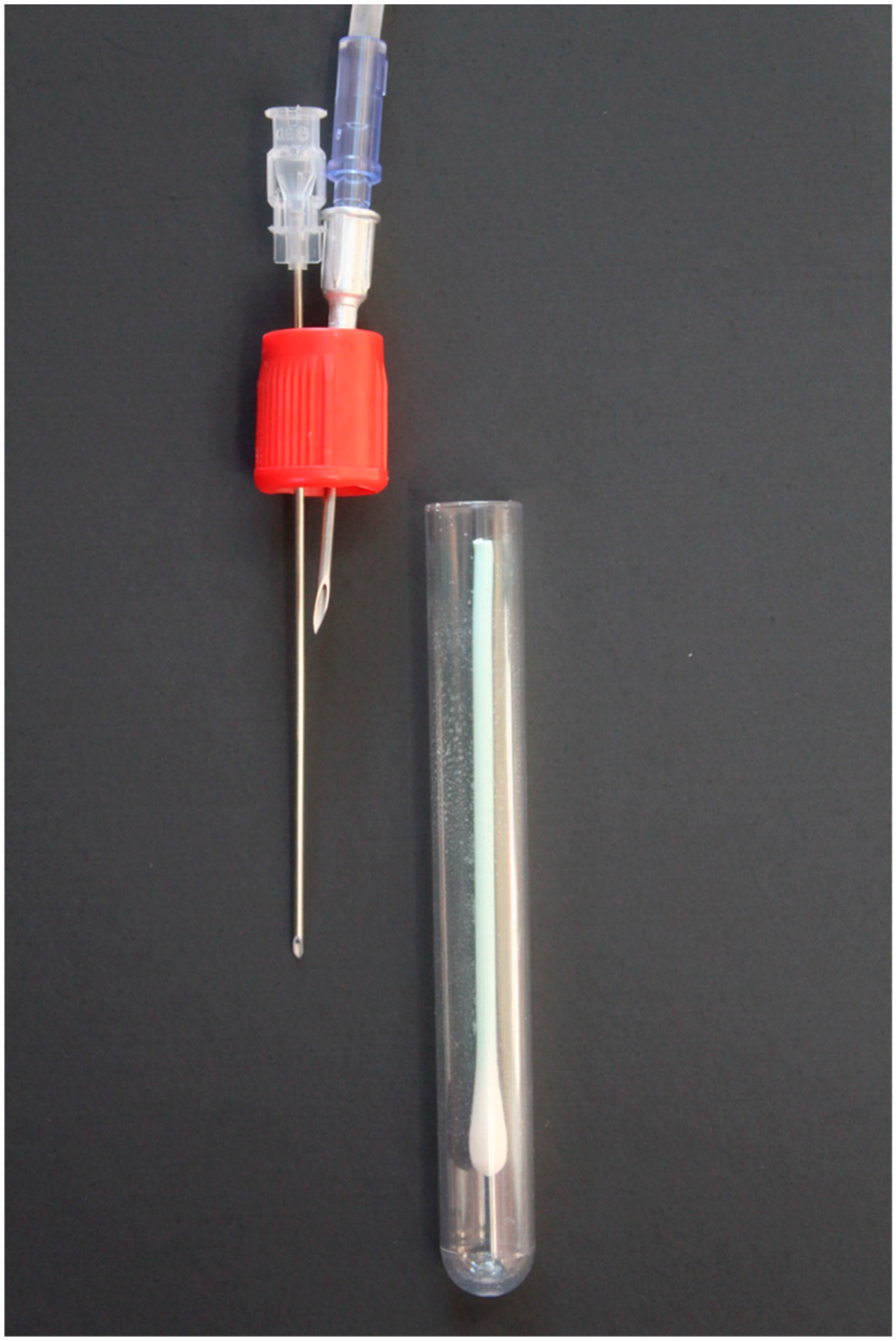 Preprints 158420 g002