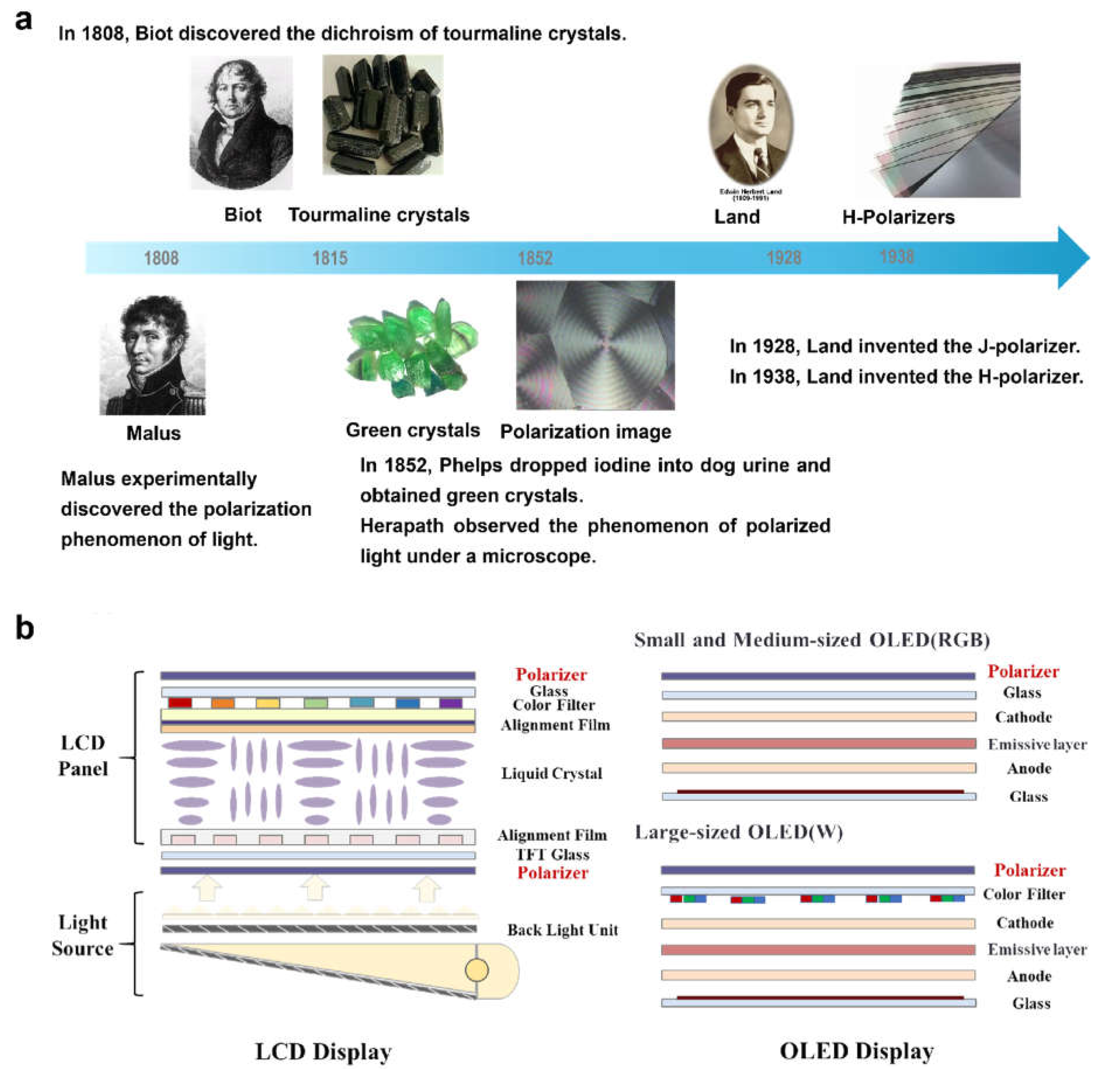 Preprints 227198 g001