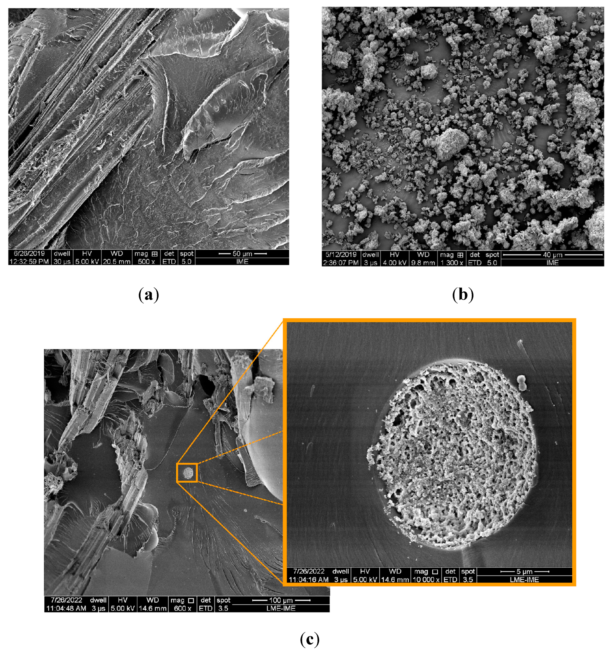 Preprints 140554 g001