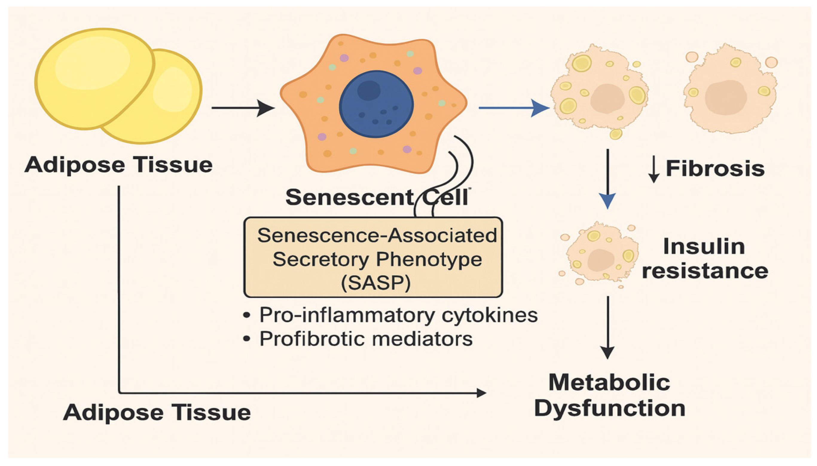 Preprints 168622 g002
