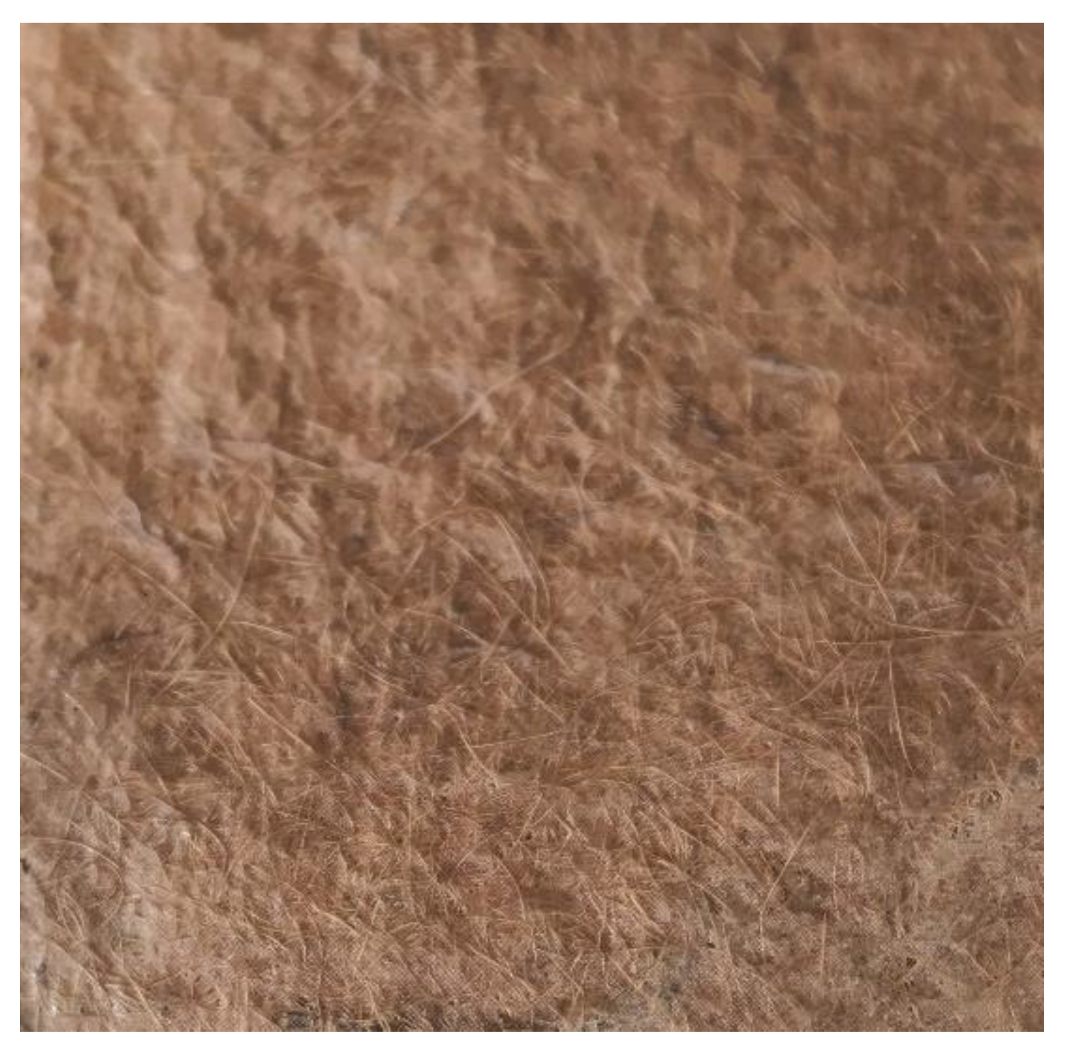 Preprints 174004 g003