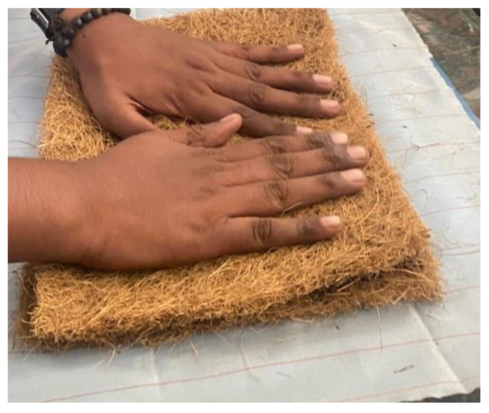 Preprints 174004 g004