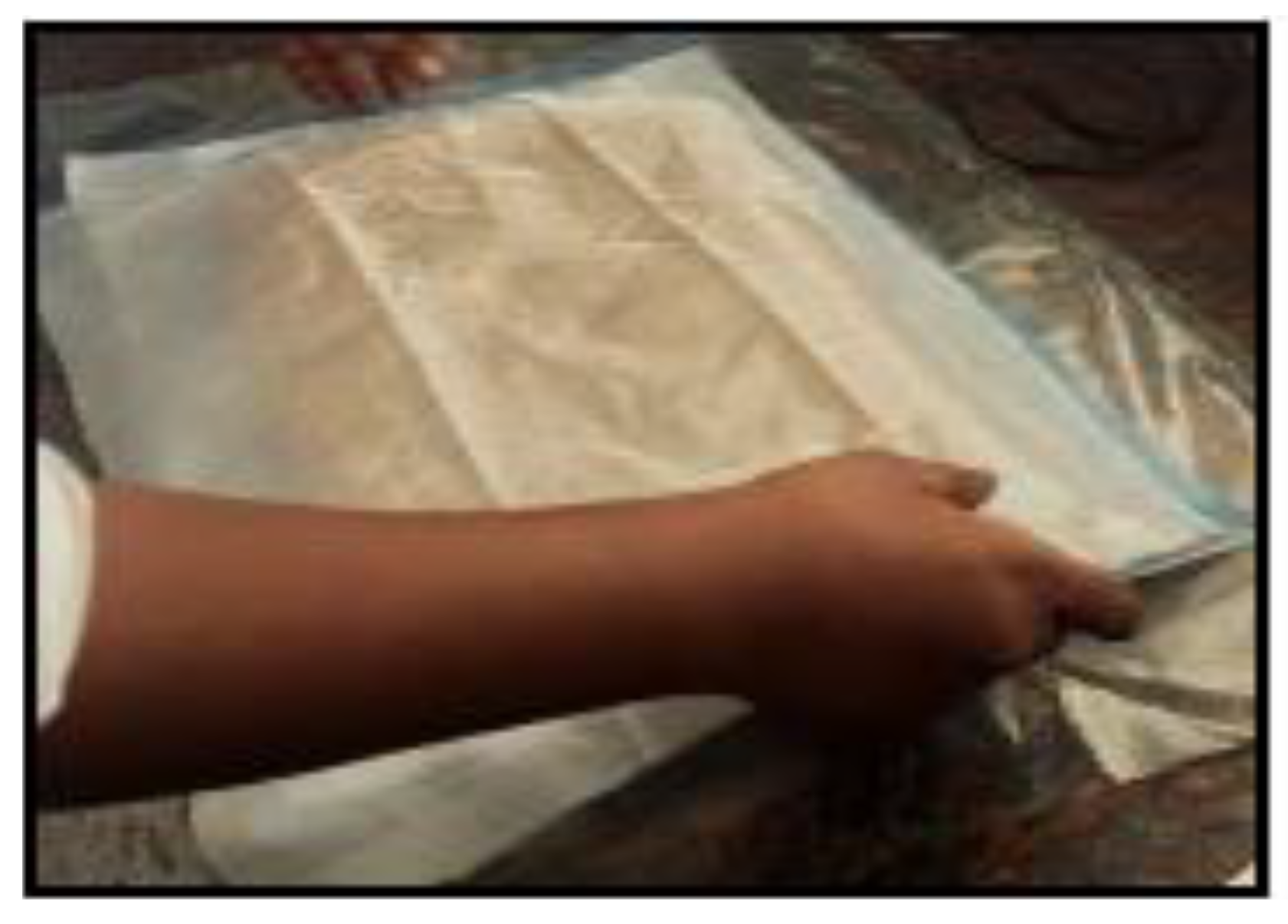 Preprints 174004 g008