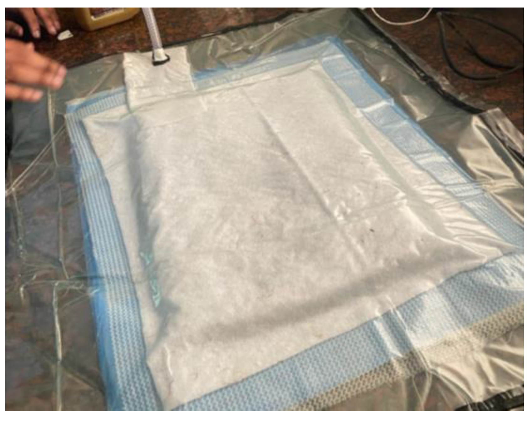 Preprints 174004 g011