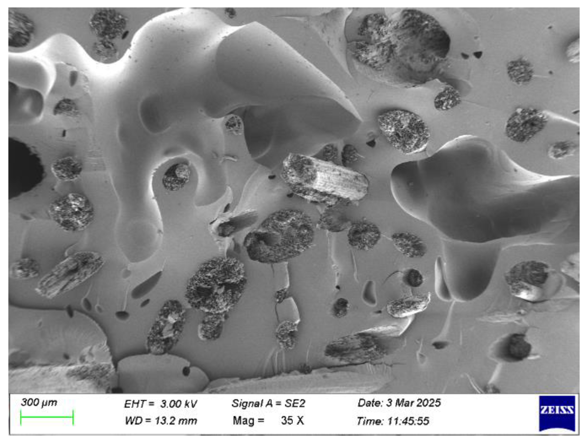Preprints 174004 g020