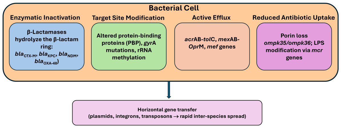 Preprints 217205 g002