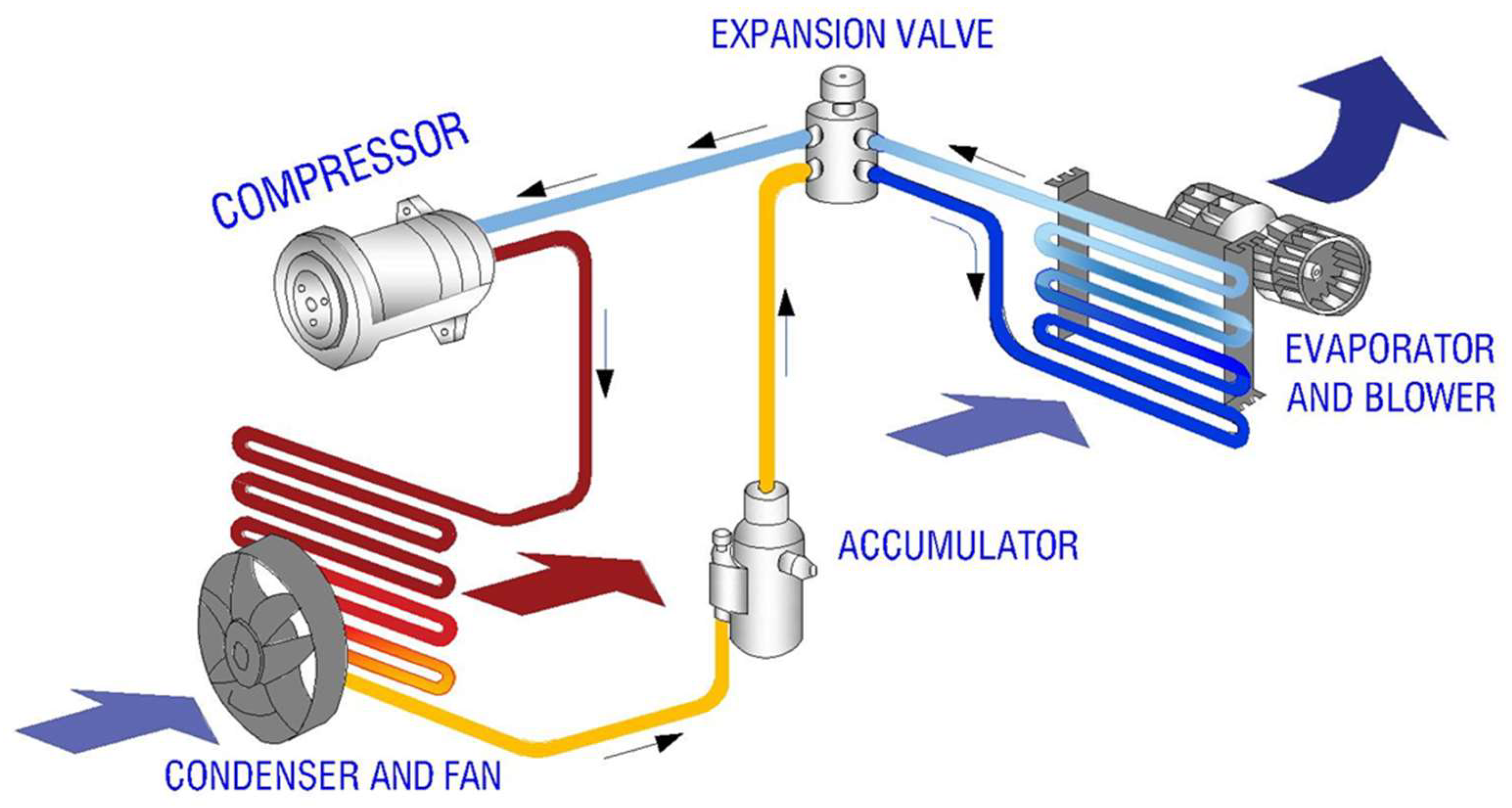 Preprints 148603 g002