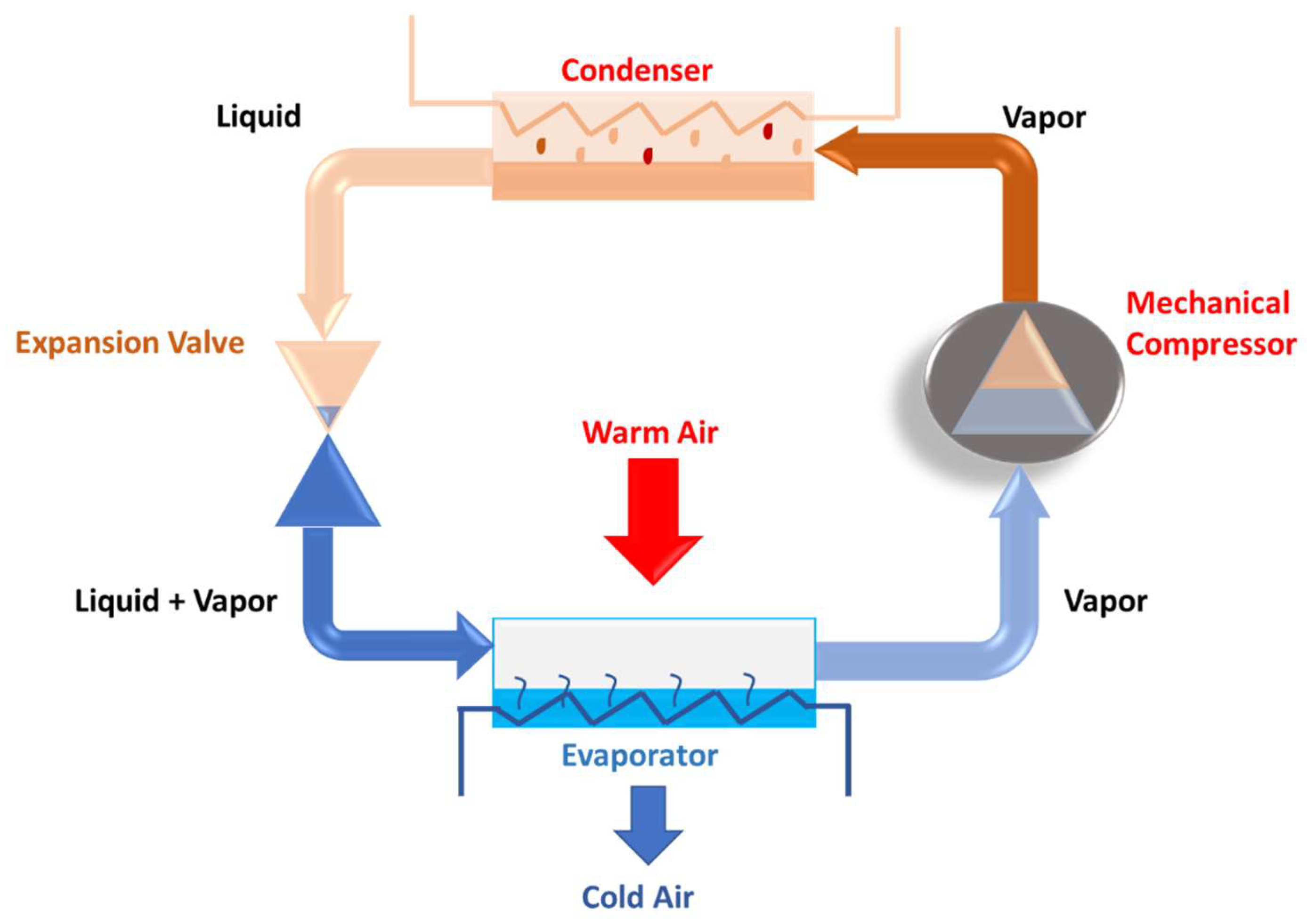 Preprints 148603 g005