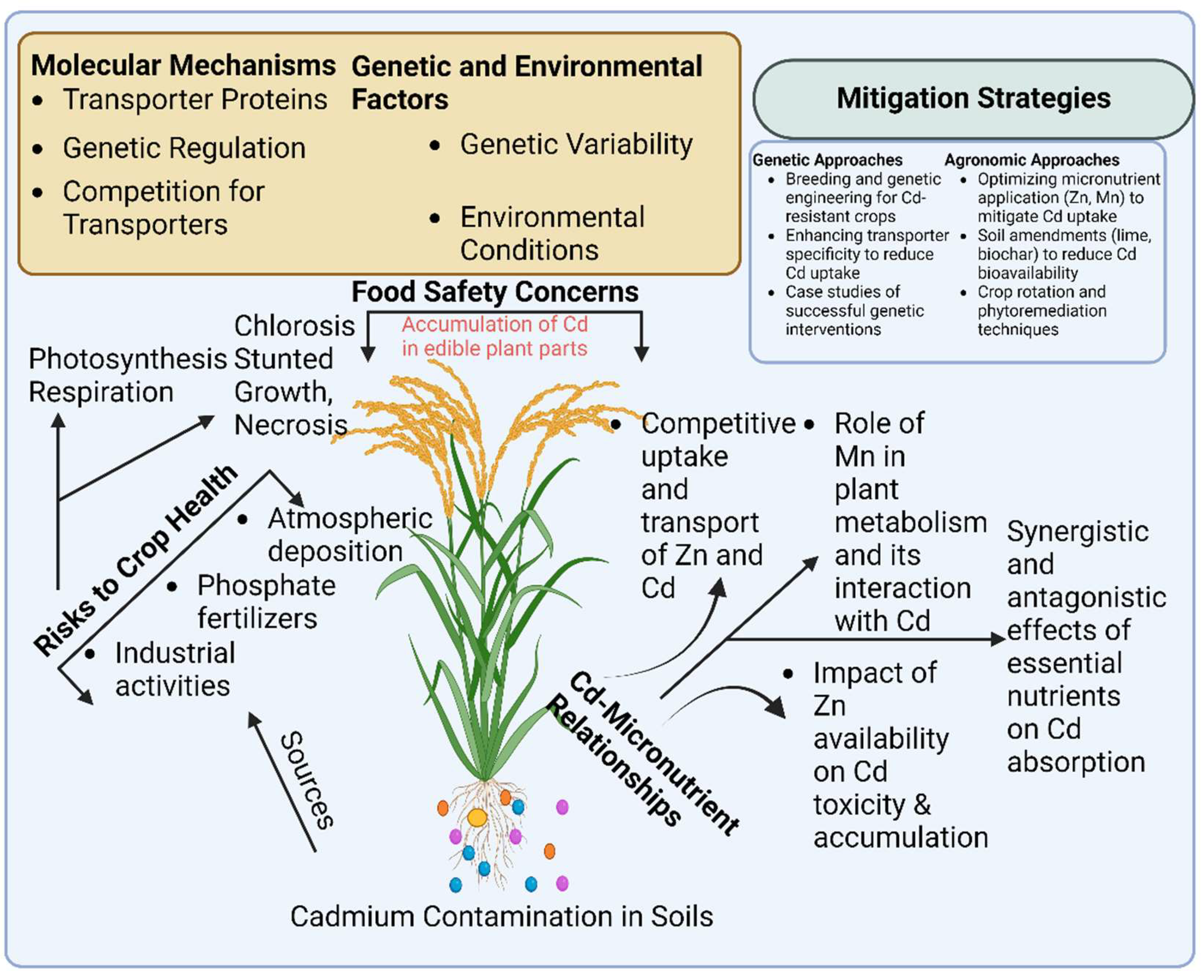 Preprints 147517 g001