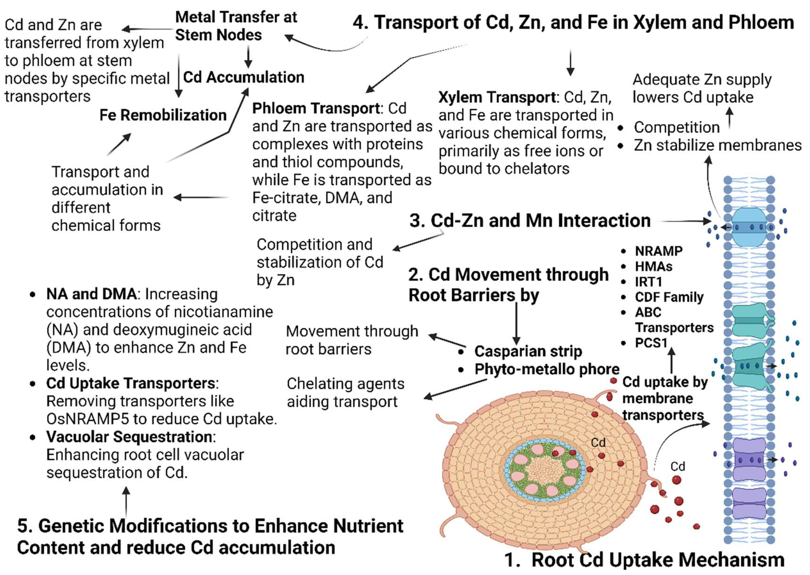 Preprints 147517 g002