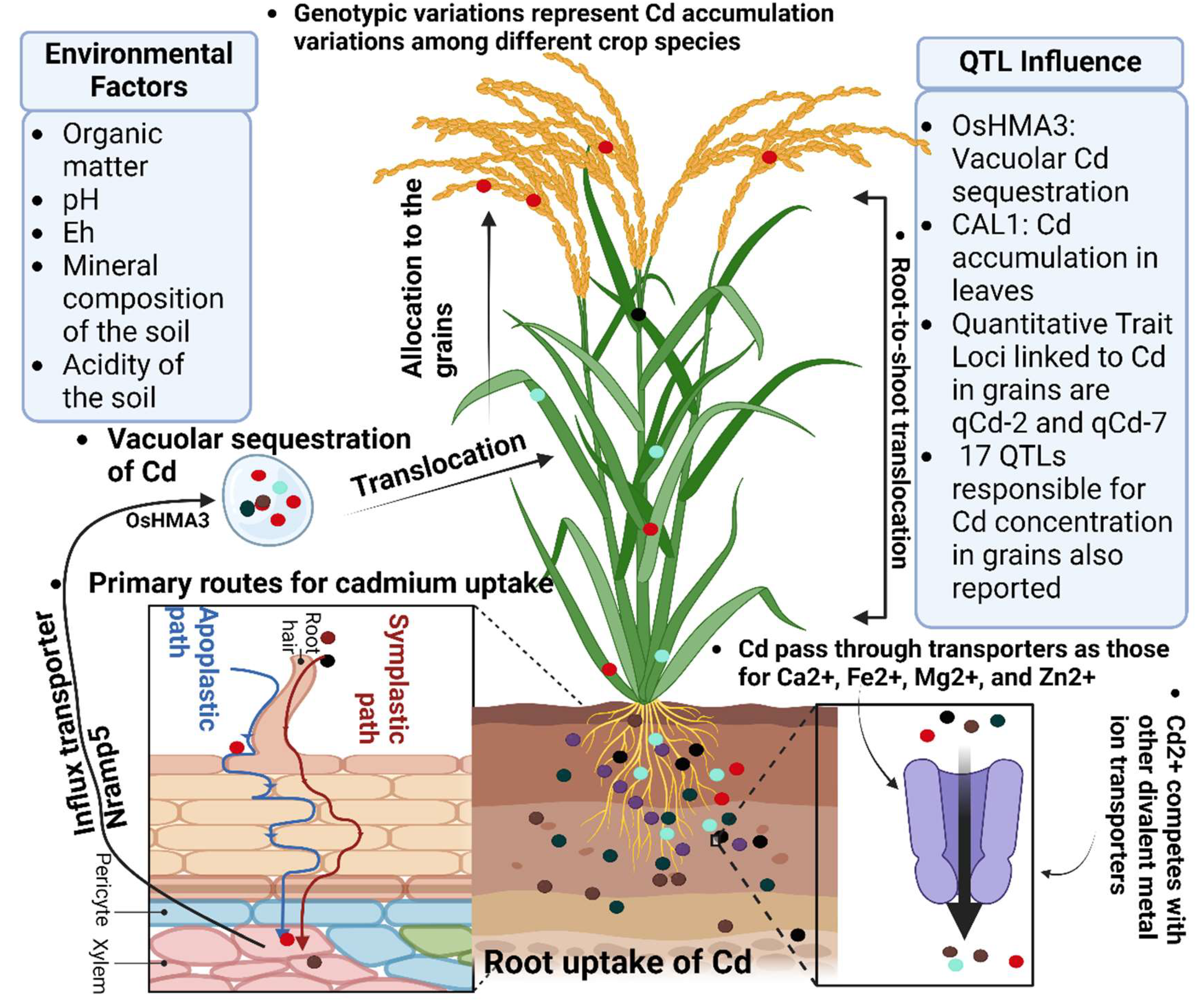 Preprints 147517 g003