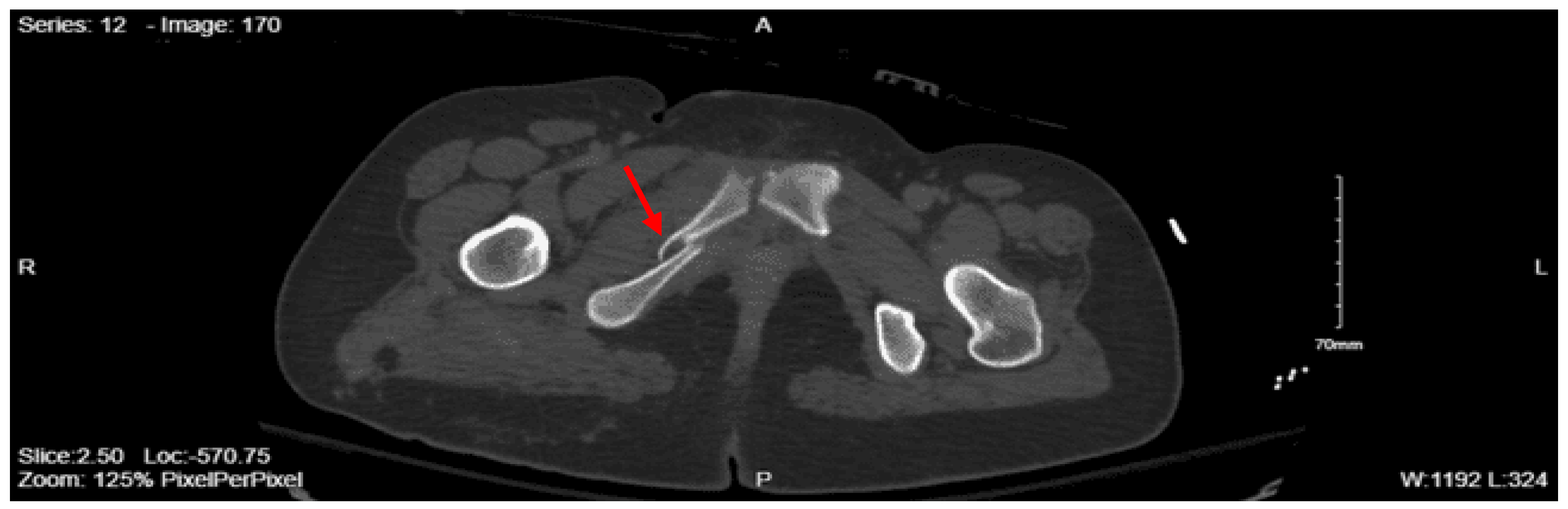 Preprints 157740 g008