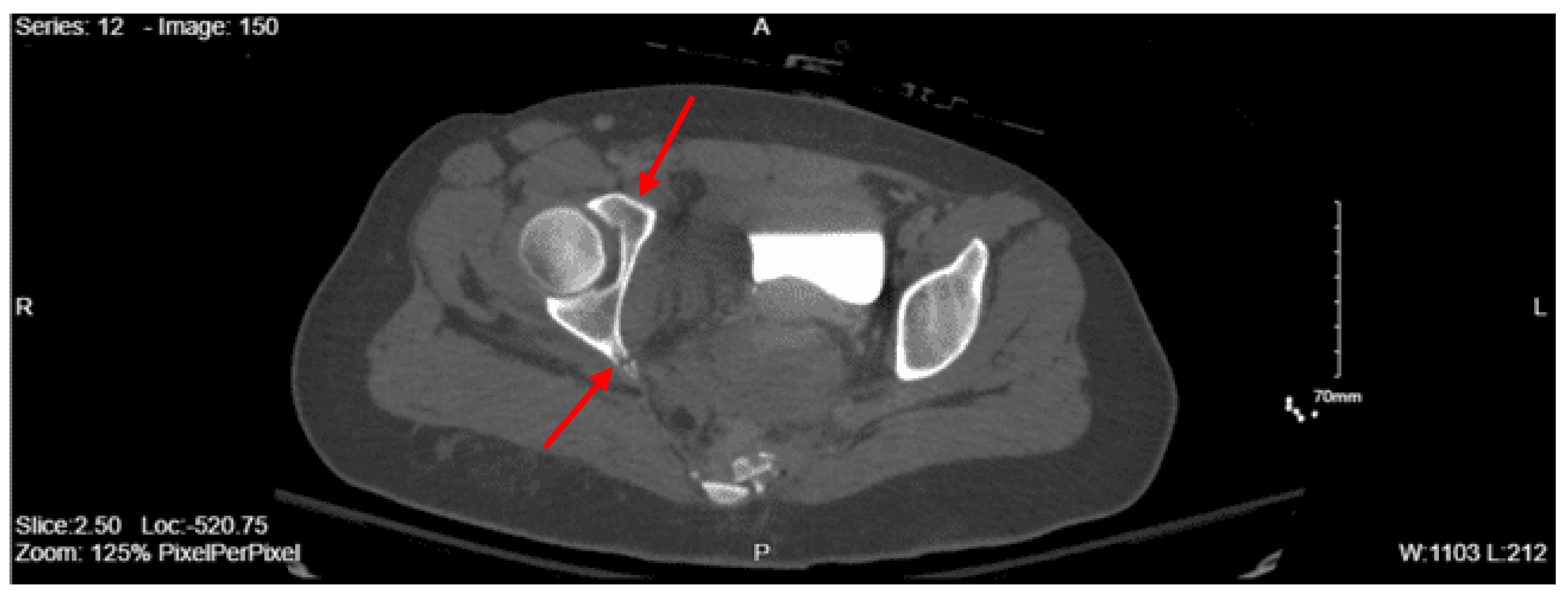 Preprints 157740 g009