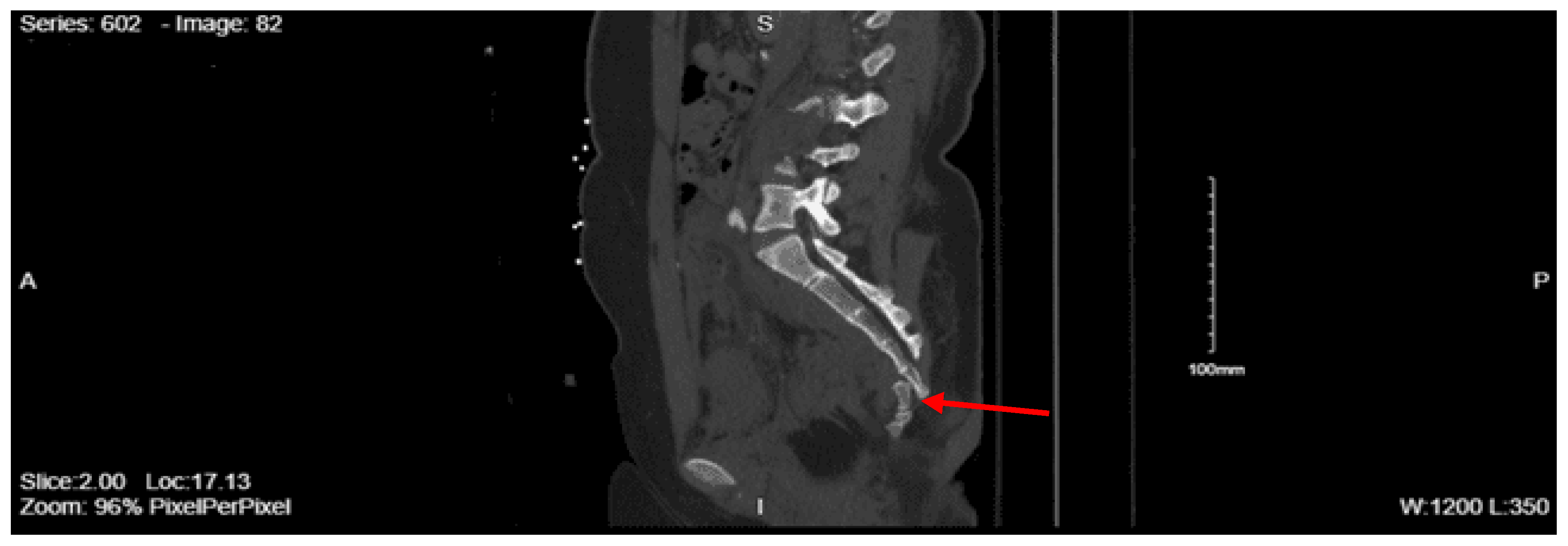 Preprints 157740 g010