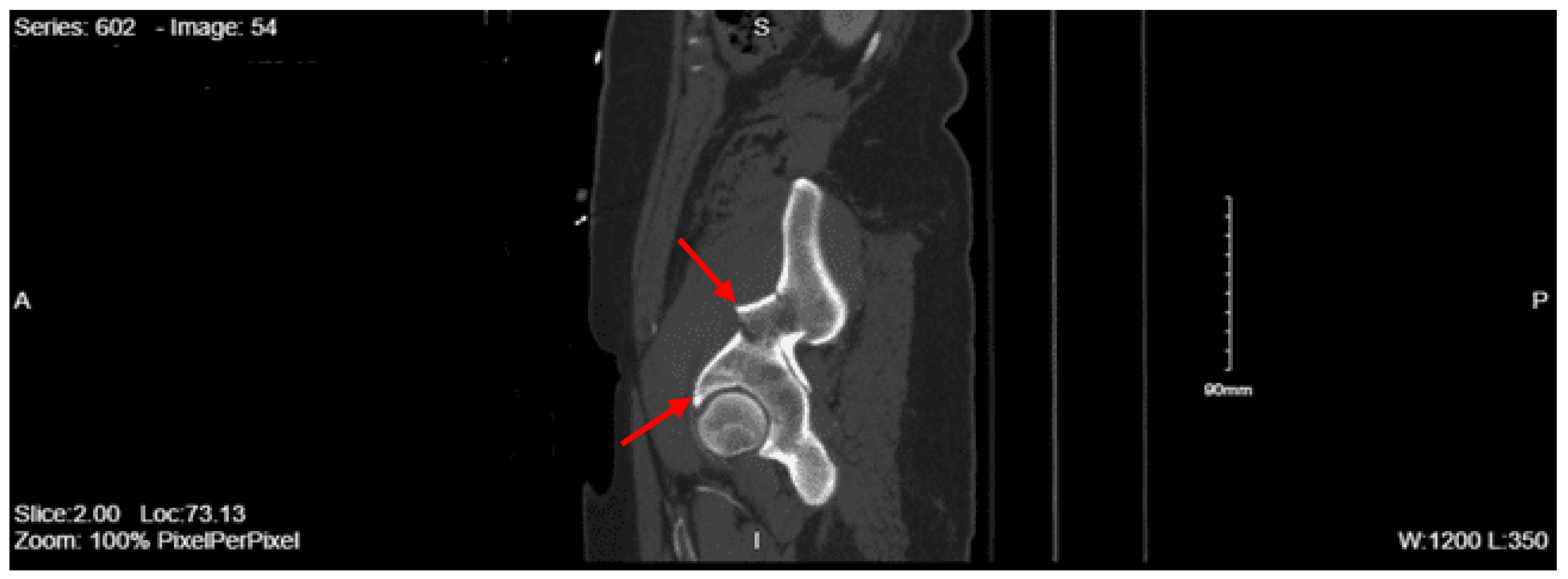 Preprints 157740 g011