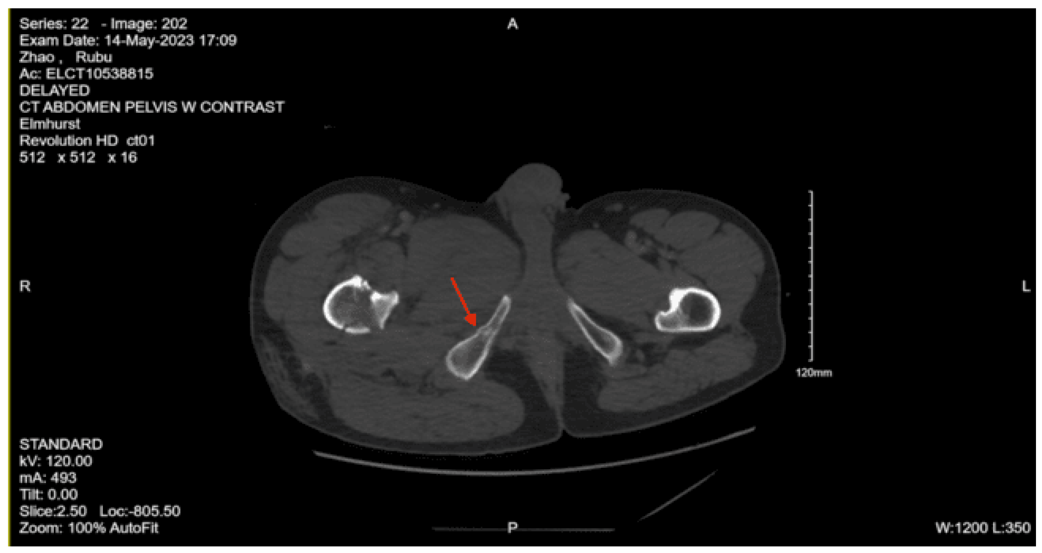 Preprints 157740 g019