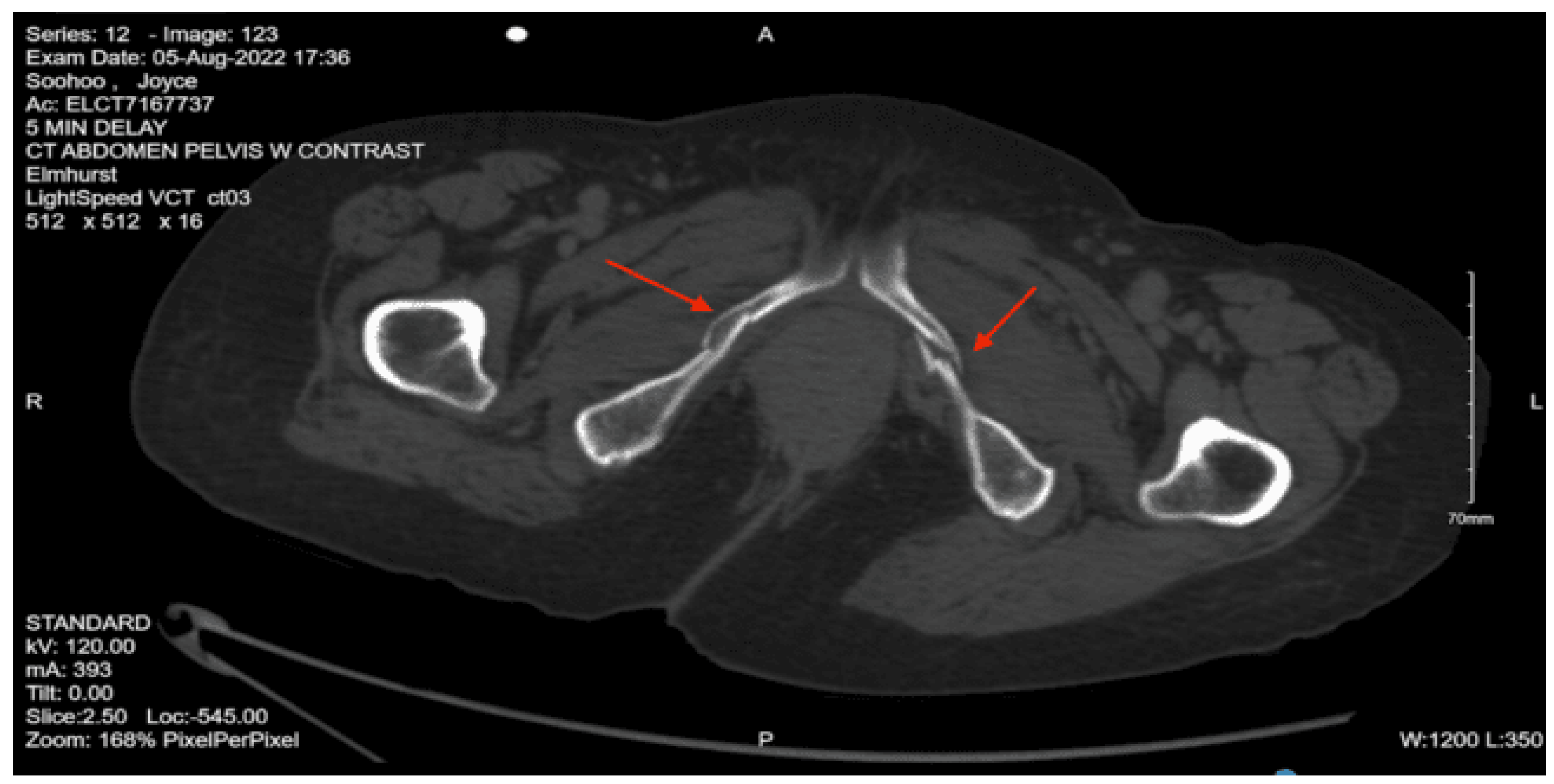 Preprints 157740 g024