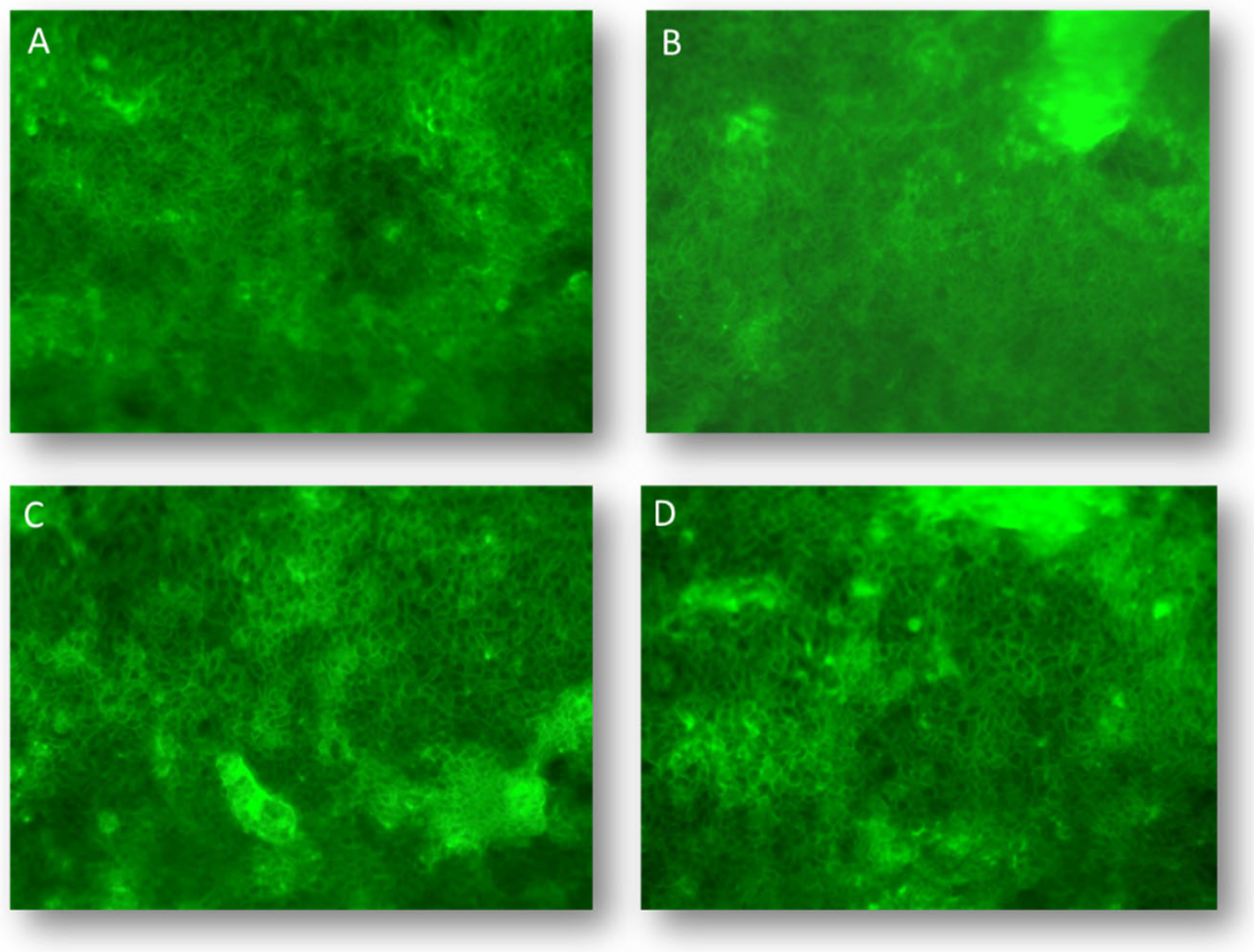 Preprints 92653 g003