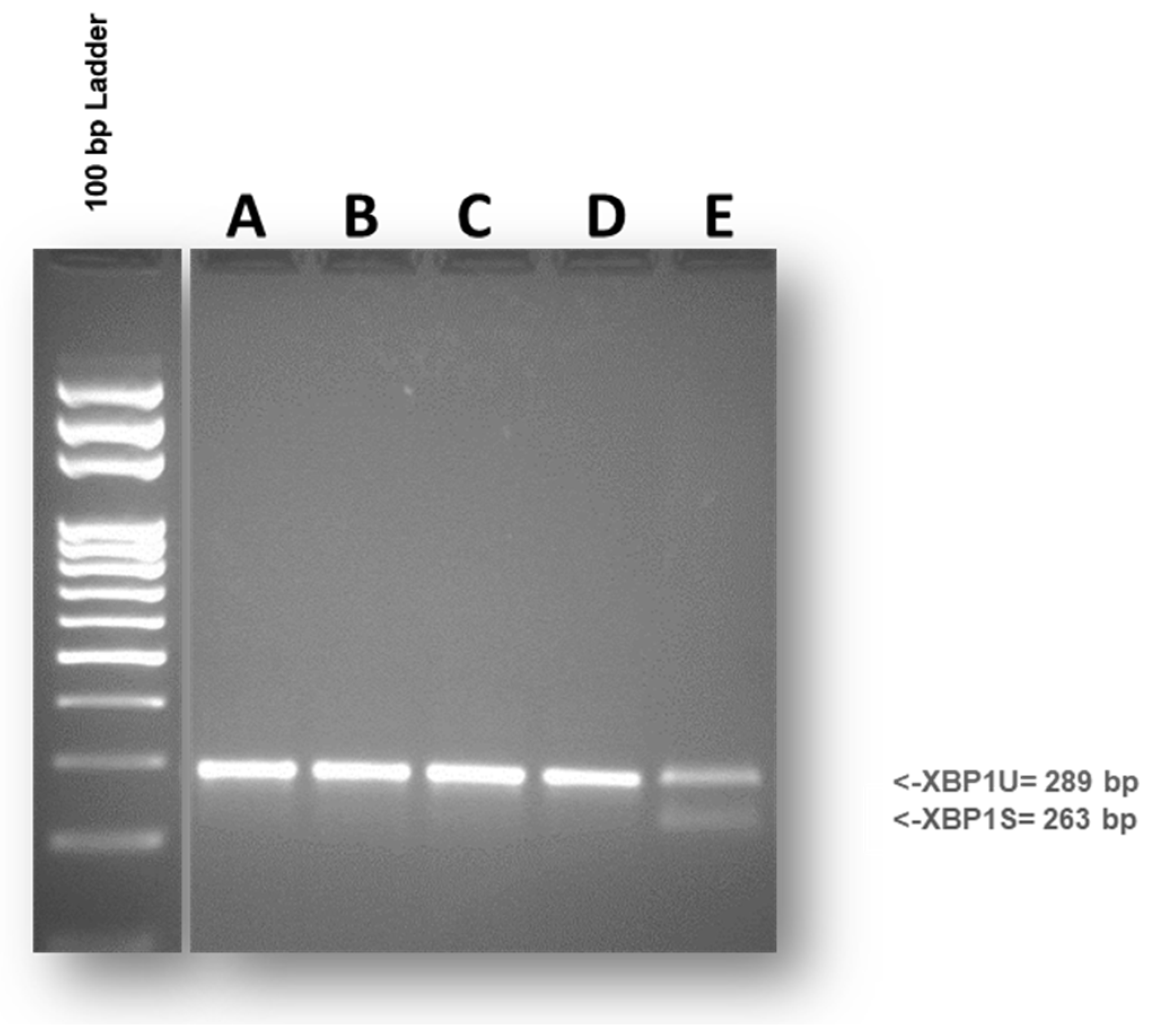 Preprints 92653 g004