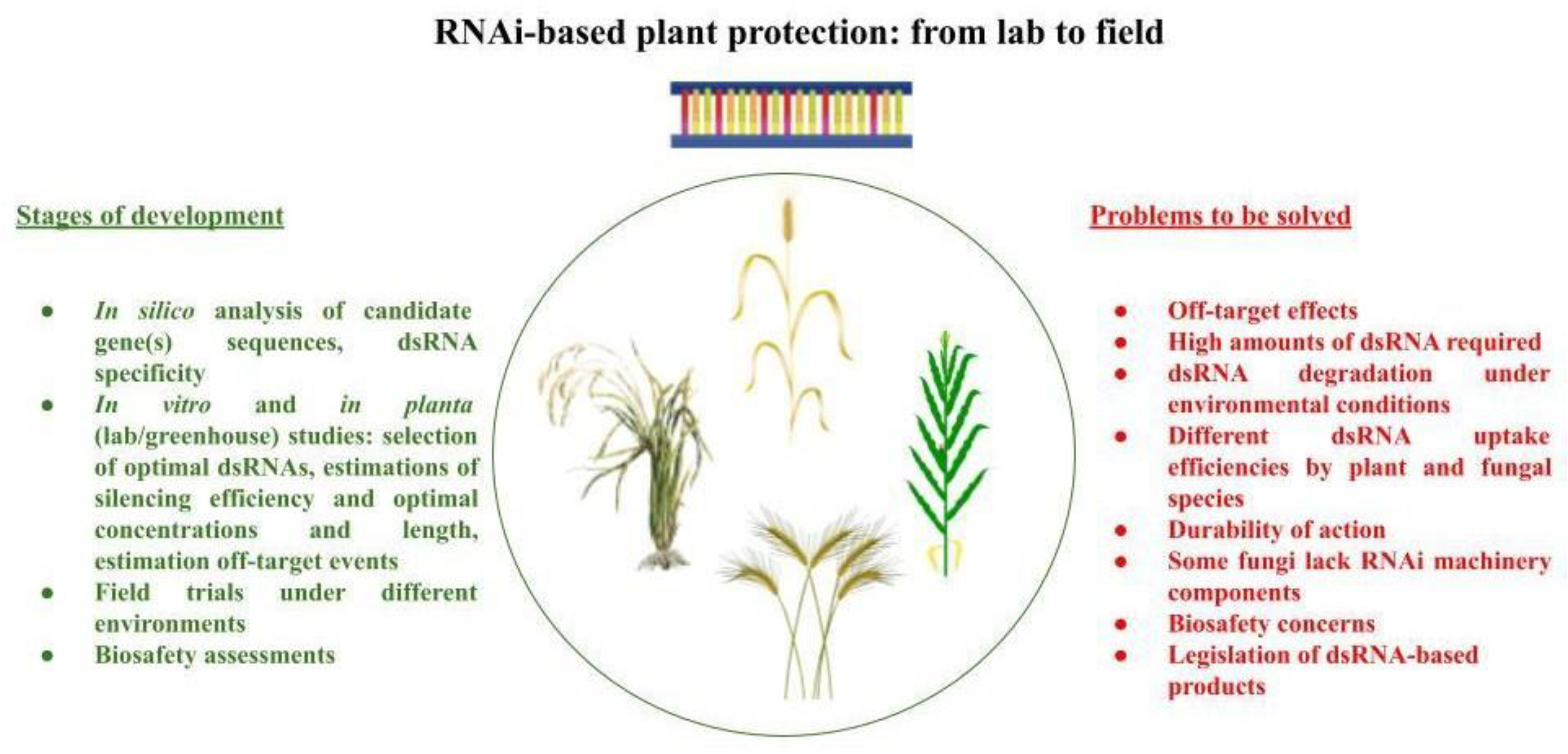 Preprints 116479 g002