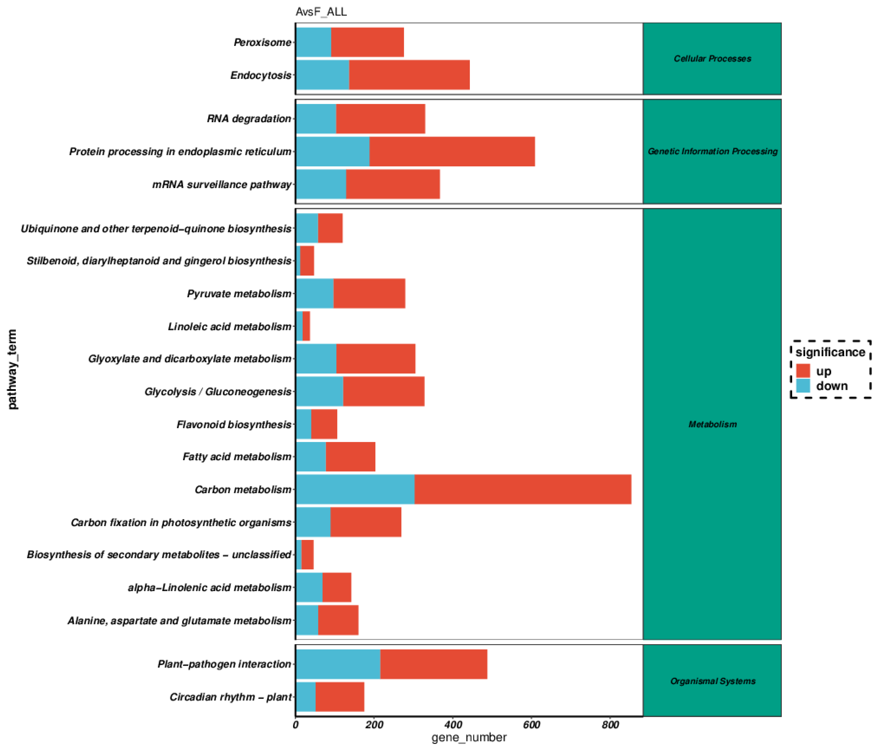 Preprints 99040 g002