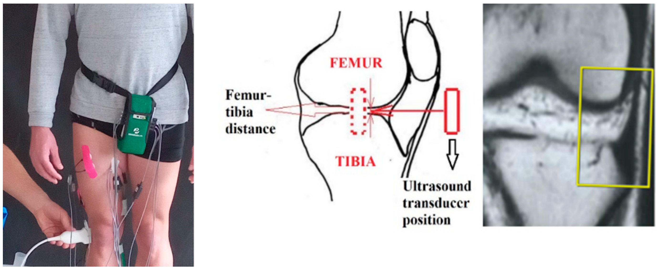 Preprints 90174 g001