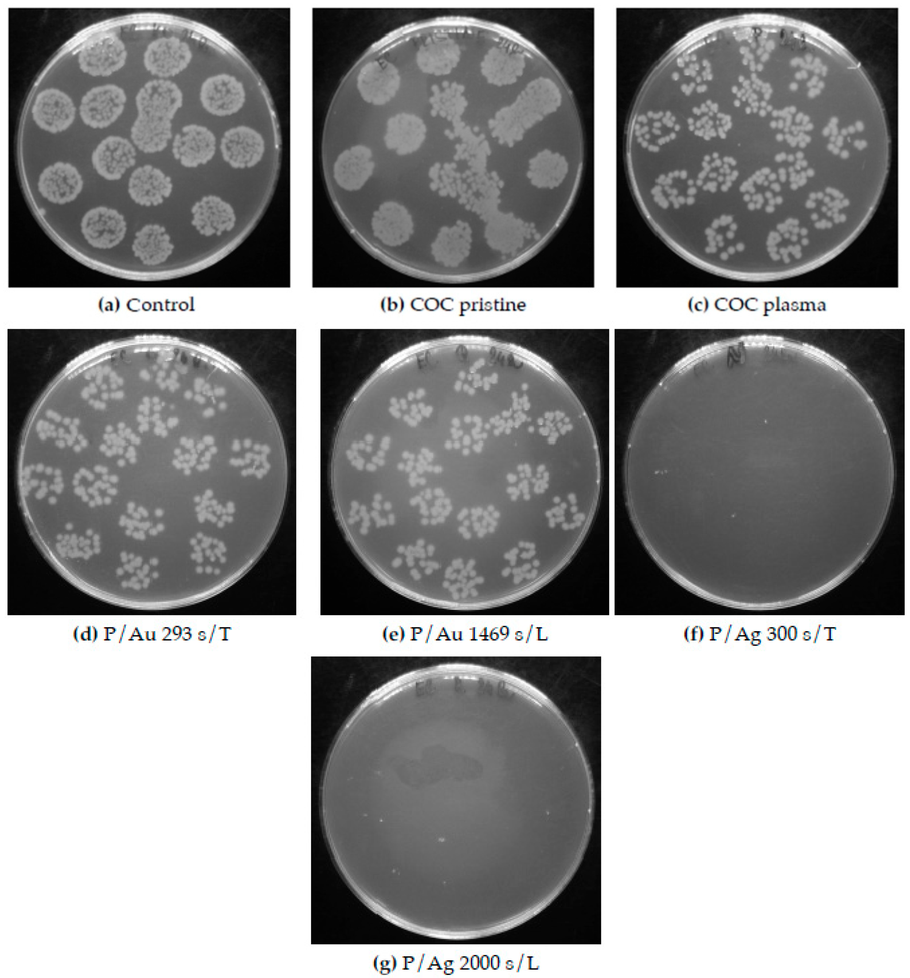 Preprints 200014 g013