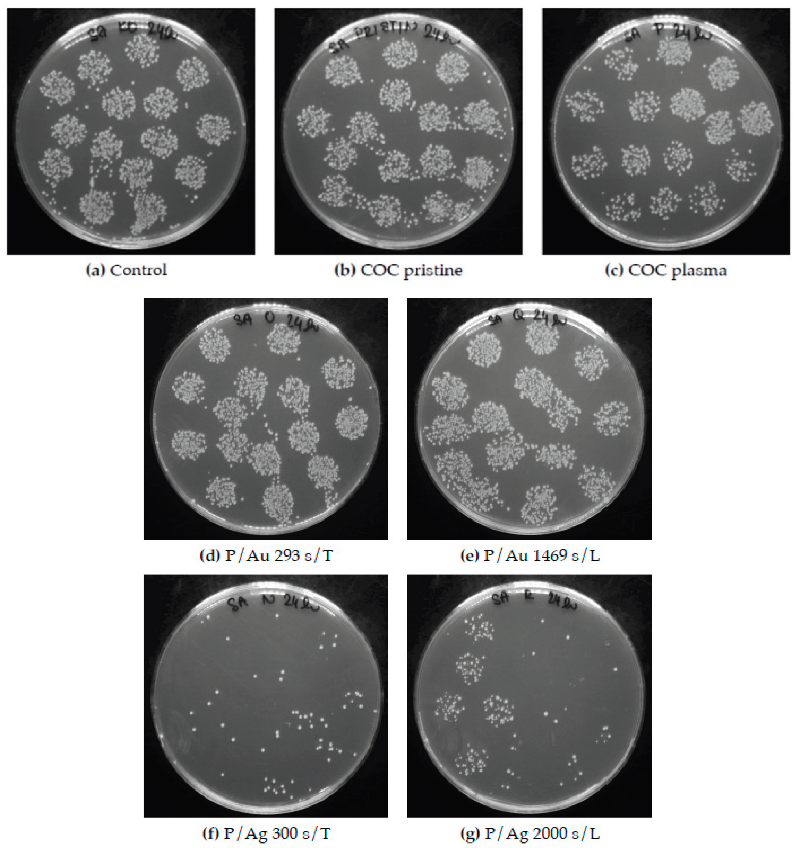 Preprints 200014 g014