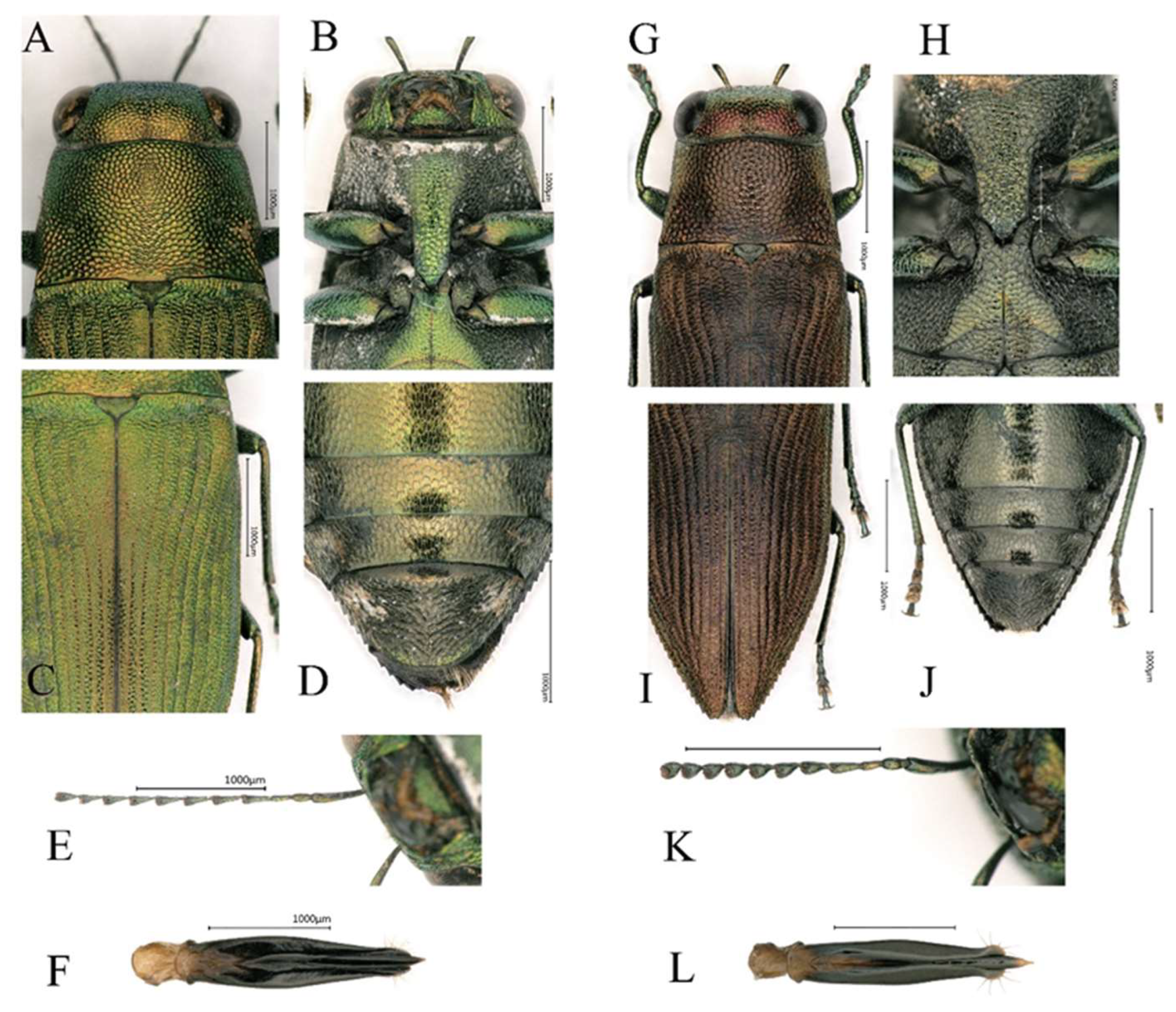Preprints 158236 g003
